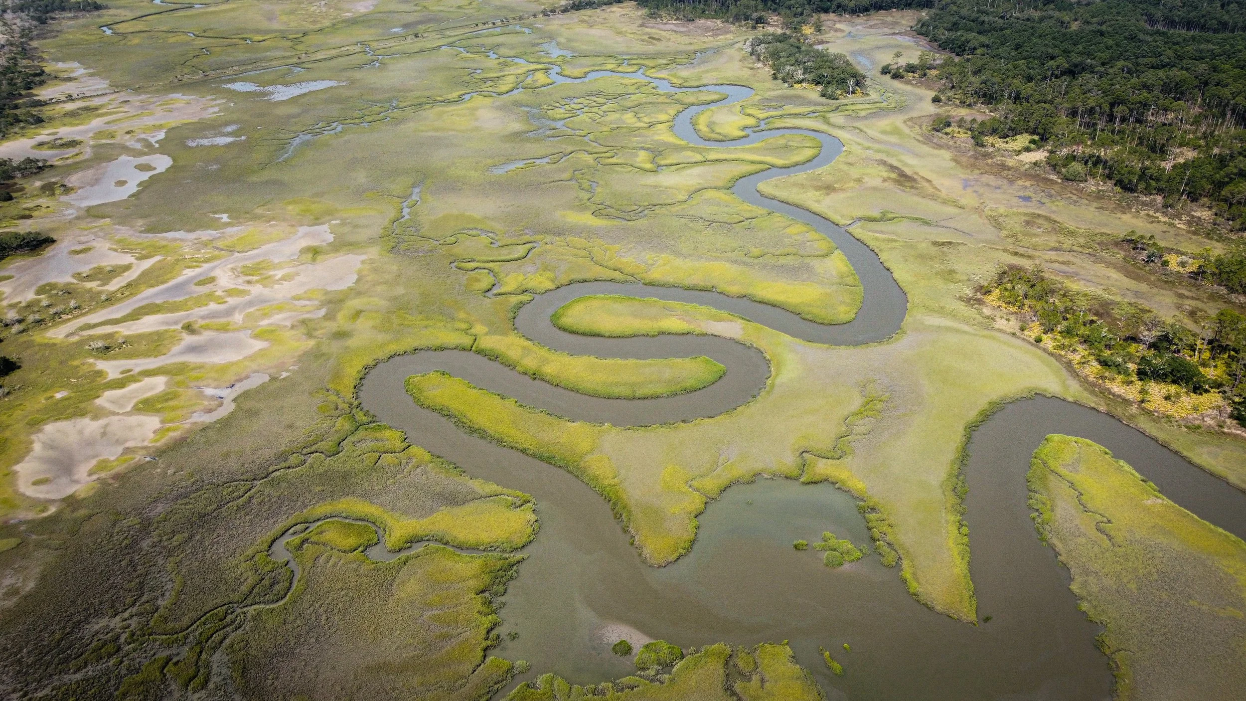 dji_fly_20230703_105804_120_1688396294649_photo_optimized.jpeg