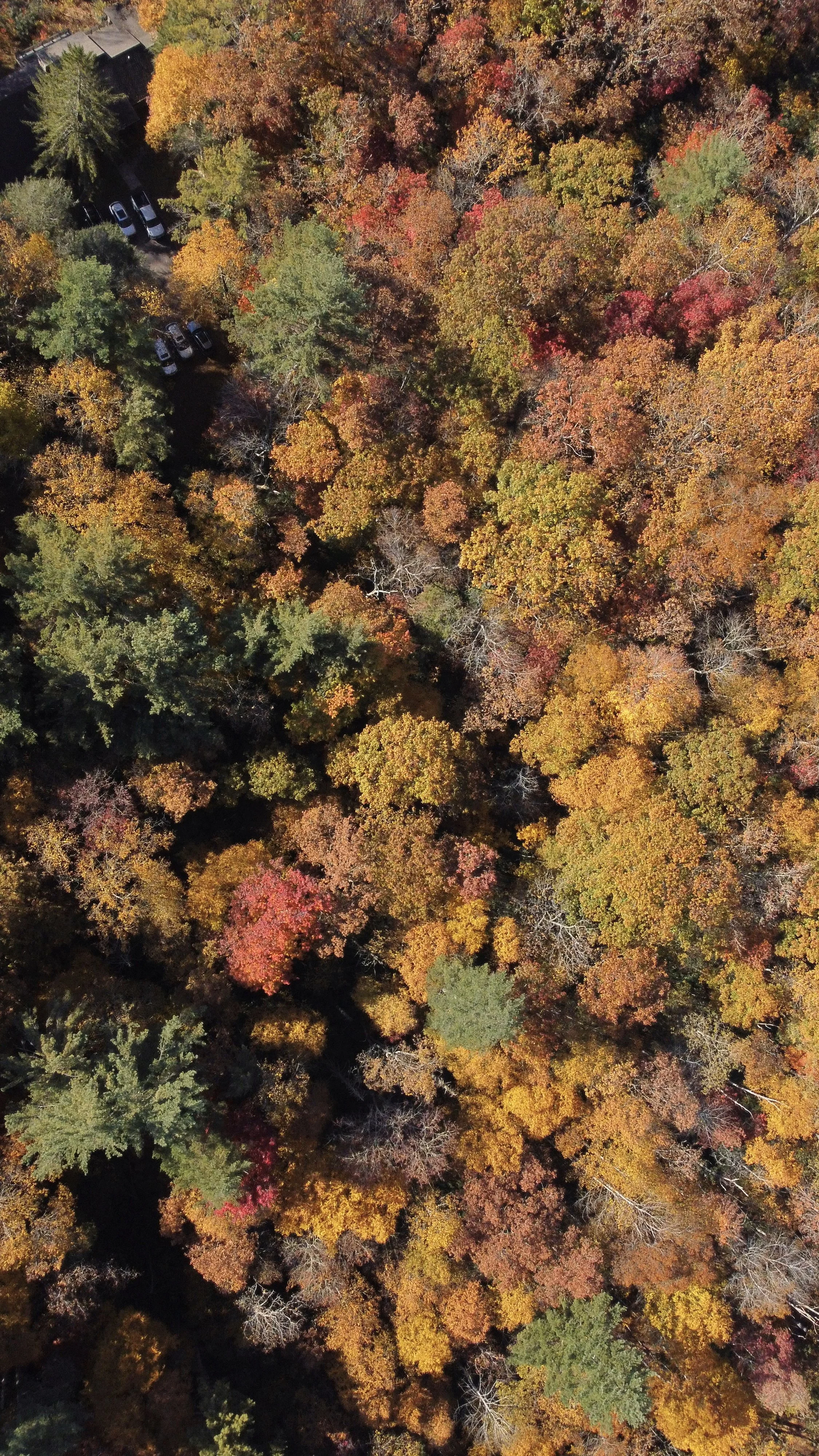 dji_fly_20241026_095848_398_1729951141007_photo_optimized.jpeg