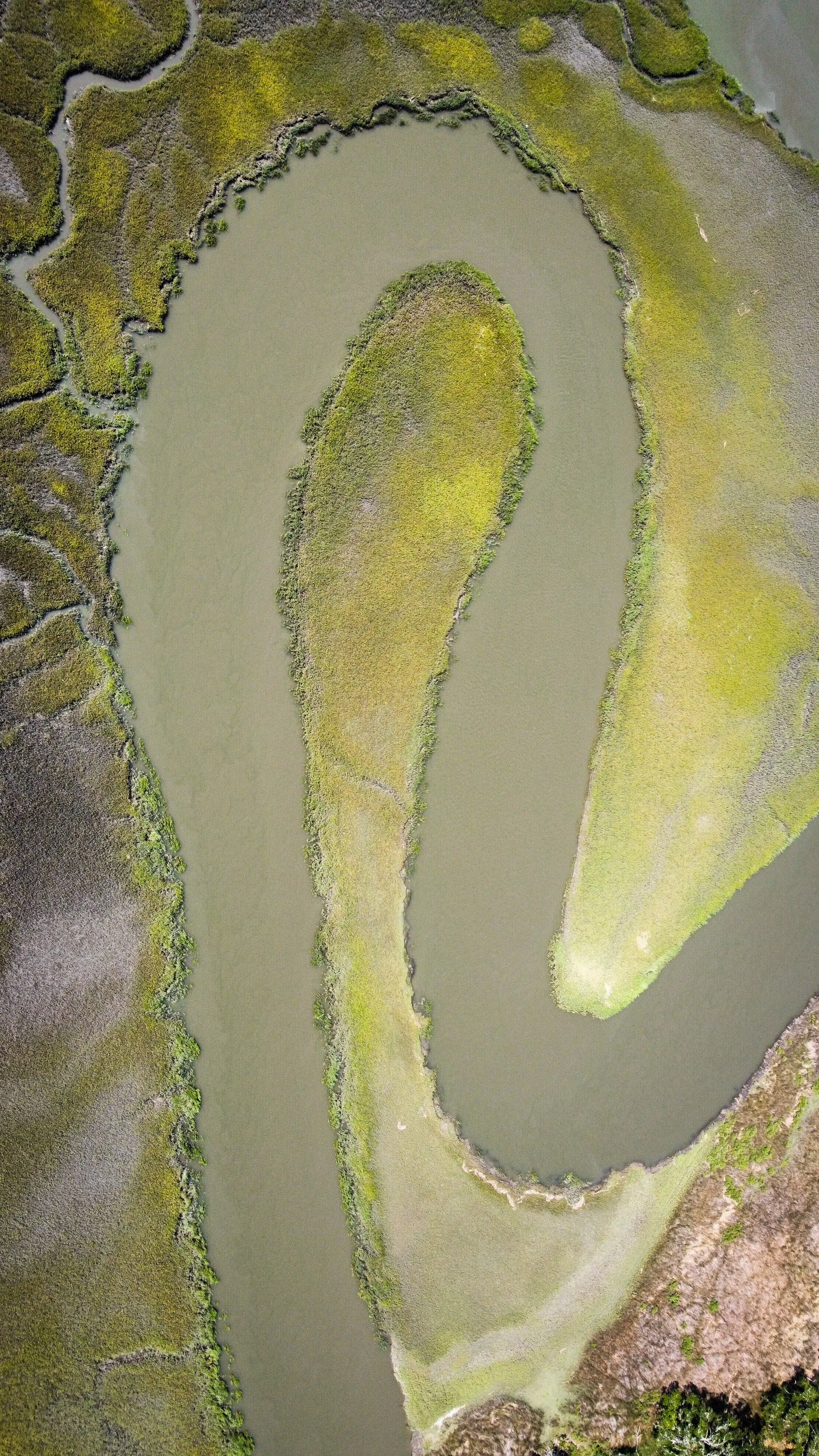 dji_fly_20230703_105432_104_1688396155621_photo_optimized 2.jpeg
