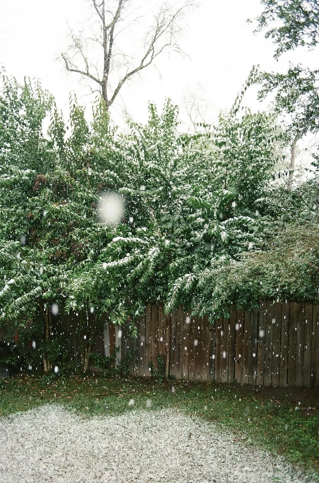 IMG_1663.jpeg