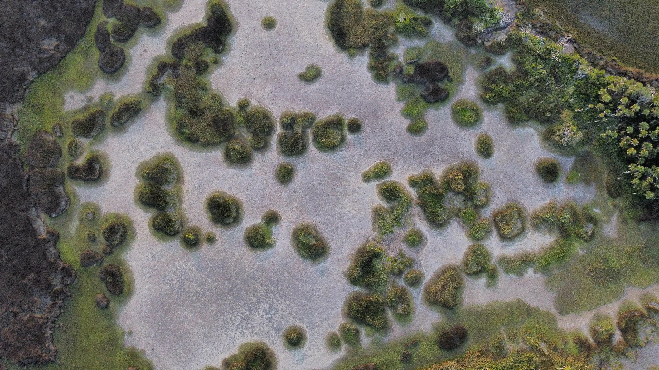 dji_fly_20240526_194914_306_1716767361952_photo_optimized.jpeg