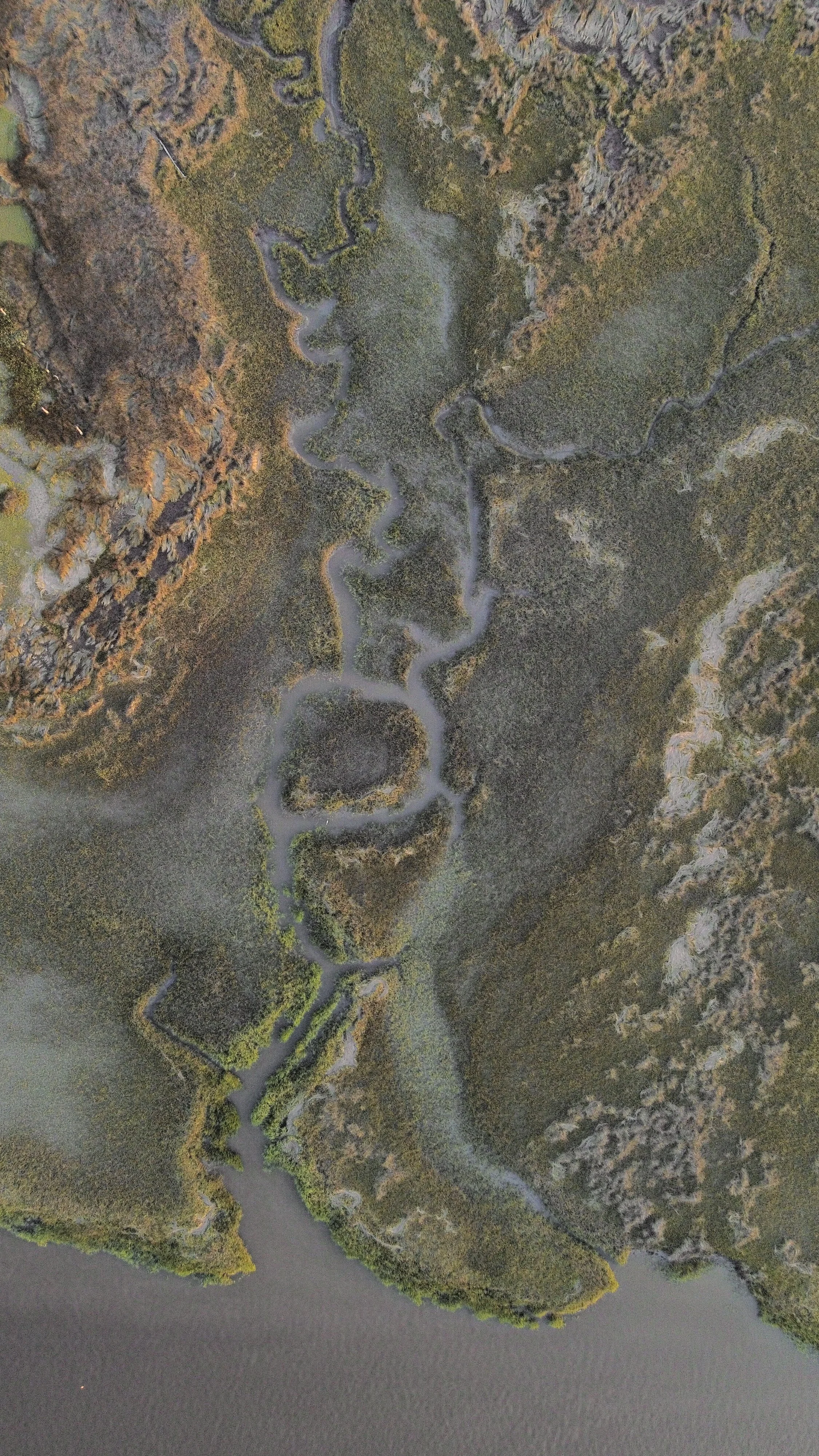 dji_fly_20240526_194958_307_1716767406647_photo_optimized.jpeg