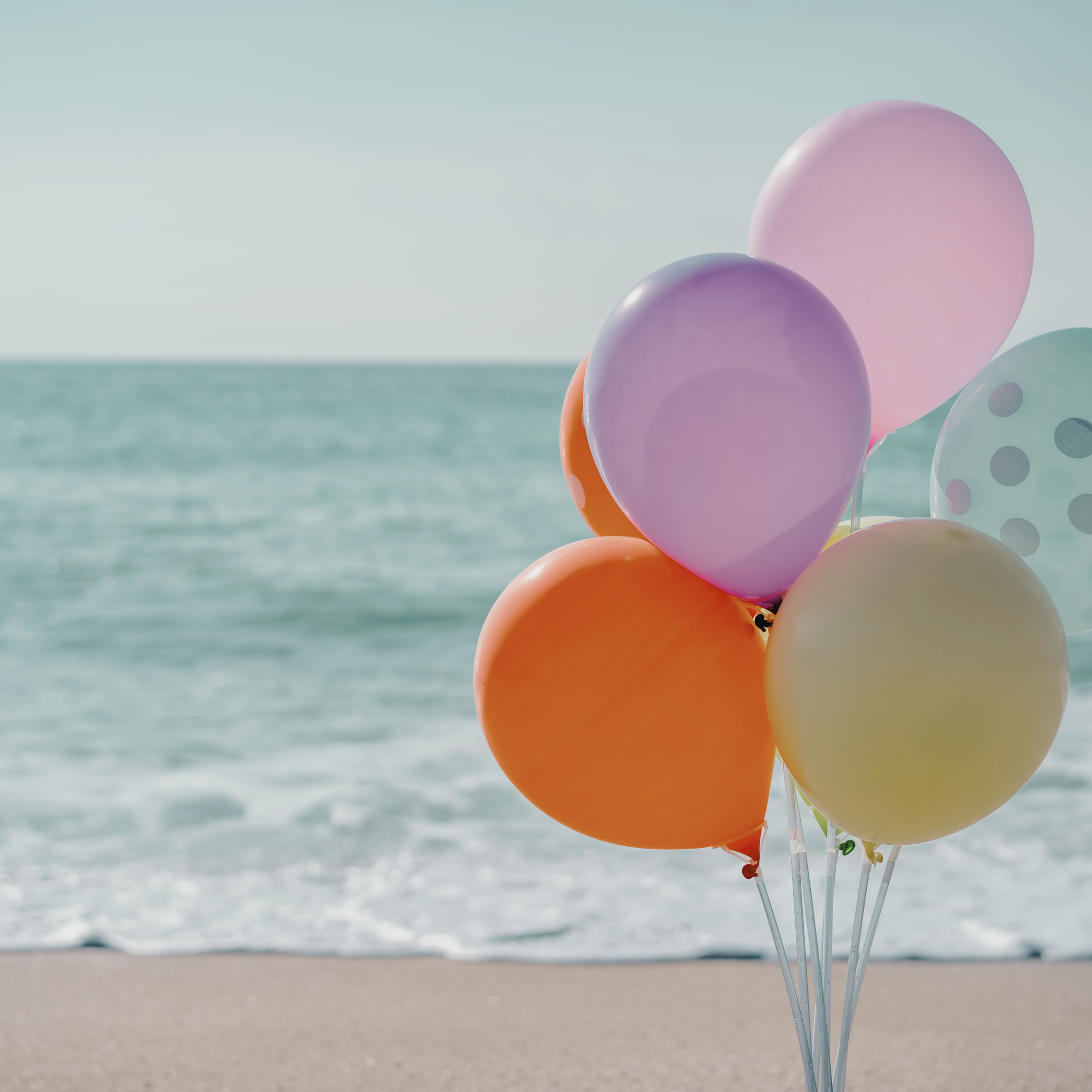 Colorful balloons gathered together on a beach with the ocean and sky in the background.