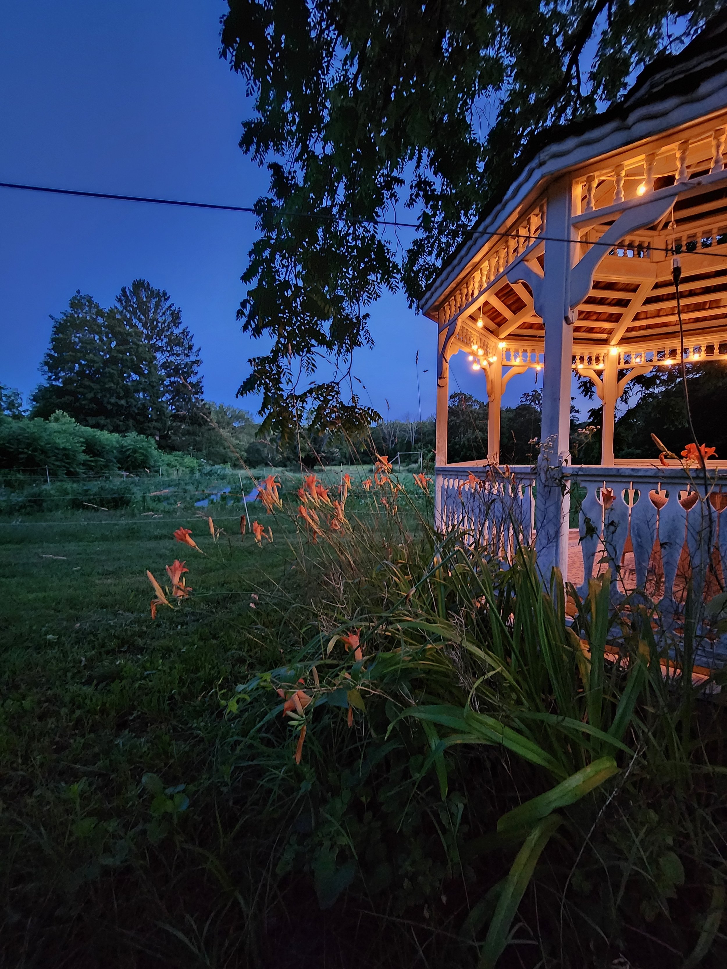 Gazebo at Night.jpg