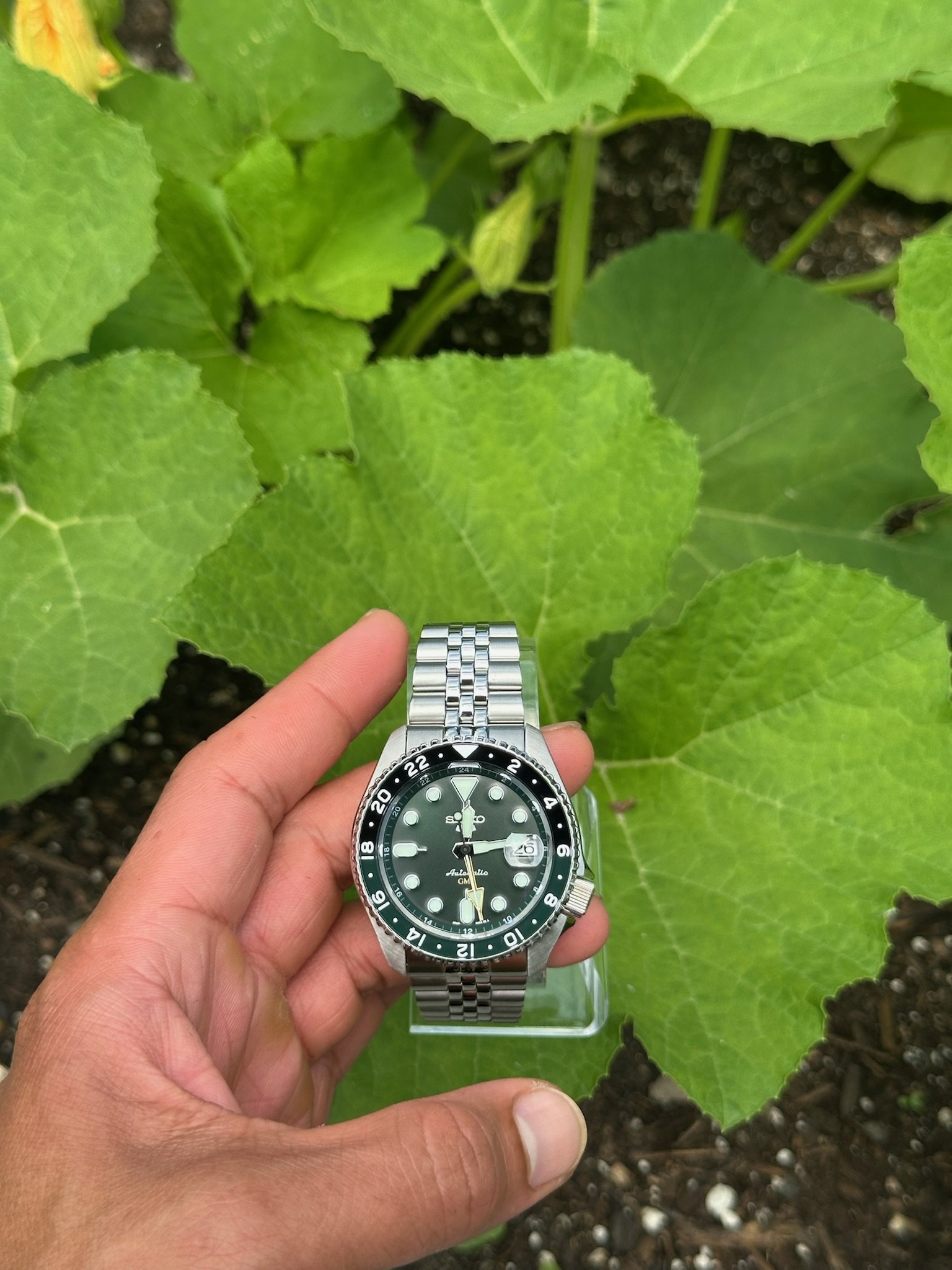Seiko 5 Sports SSK035K1 GMT Green and Black