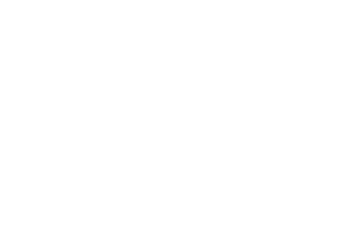 The-Nightly-Noodle-Logo-White.png