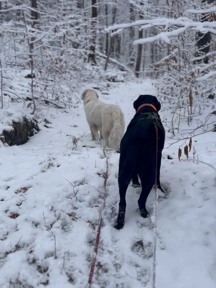 These guys making the crummy weather feel magical