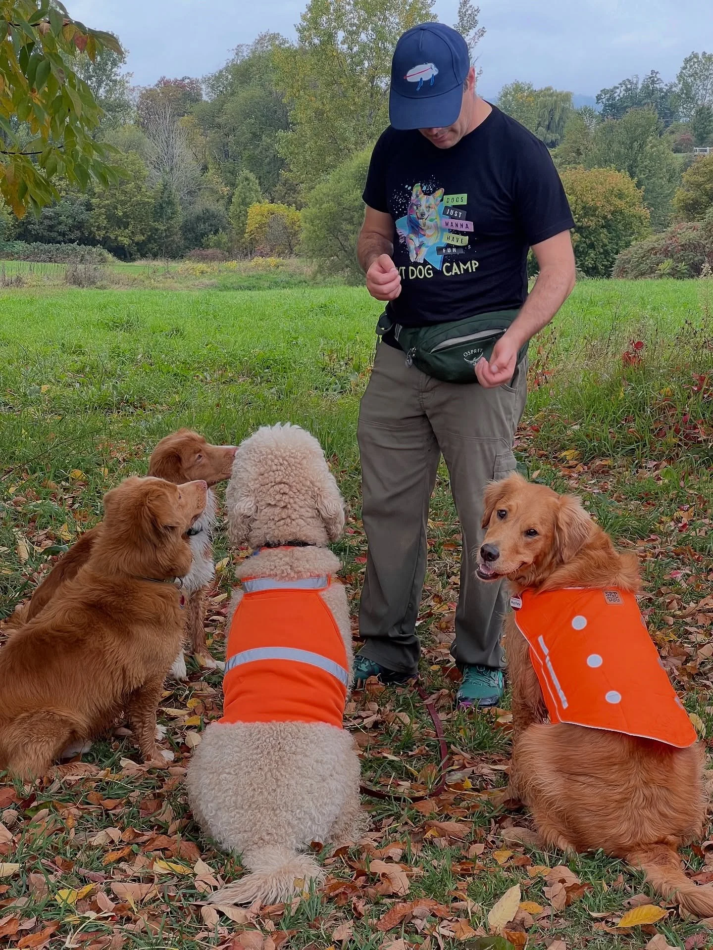 Who&rsquo;s that good girl!