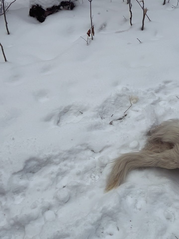 Coldest day yet. No biggie