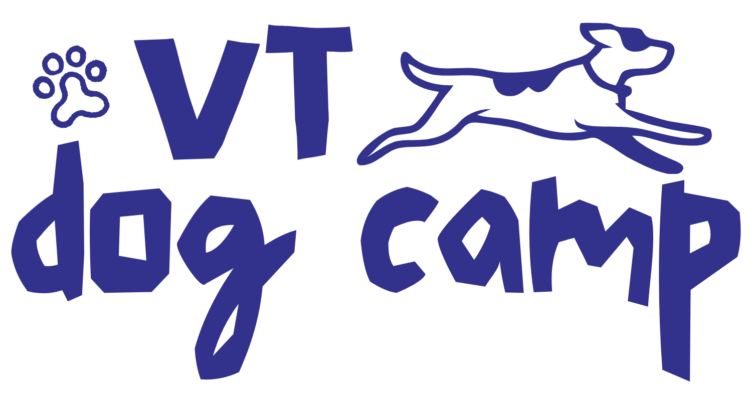 Vermont Dog Camp