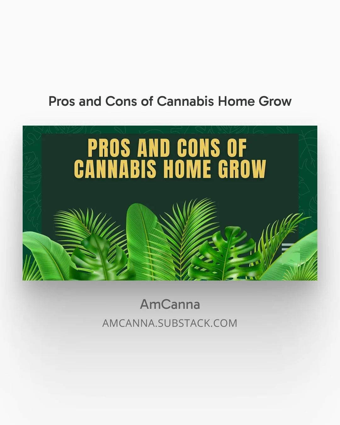 Pros and Cons of Cannabis Home Grow