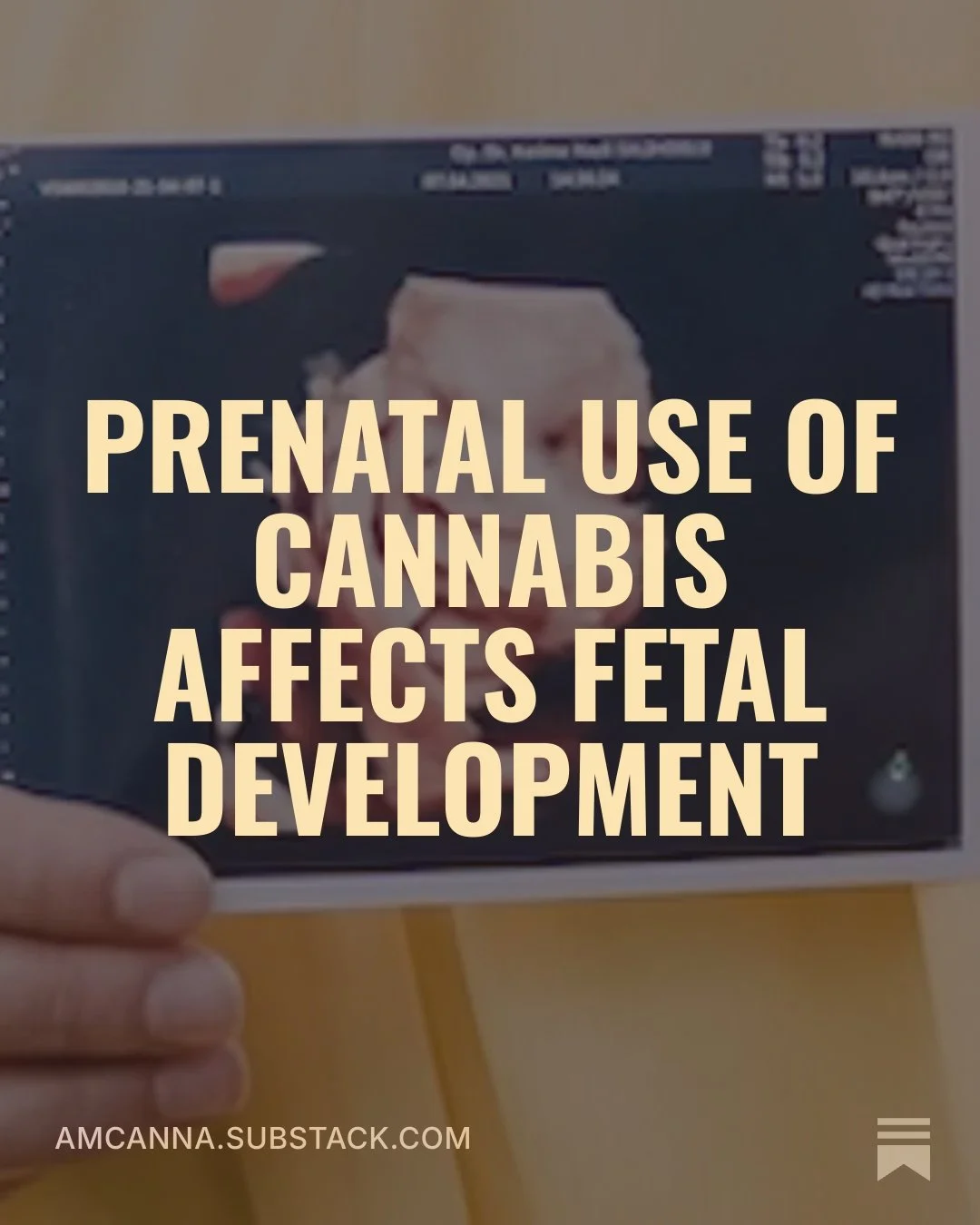 Prenatal exposure to cannabis affects fetal development