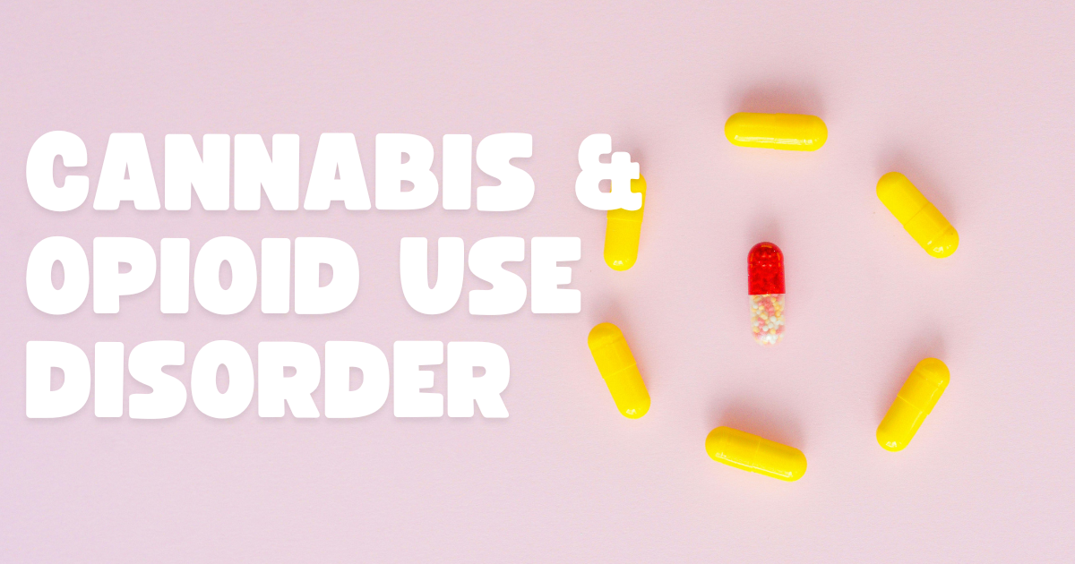 How does cannabis affect opioid use disorder?