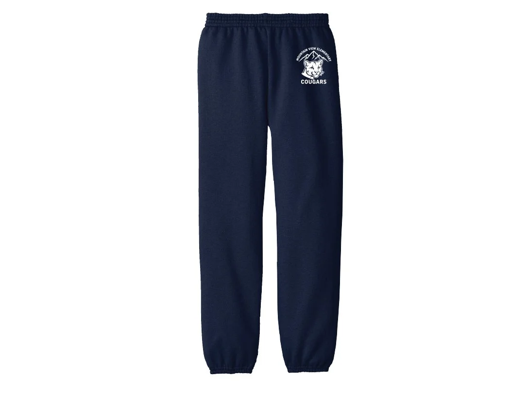 PC90YP Mt View 2025.jpg