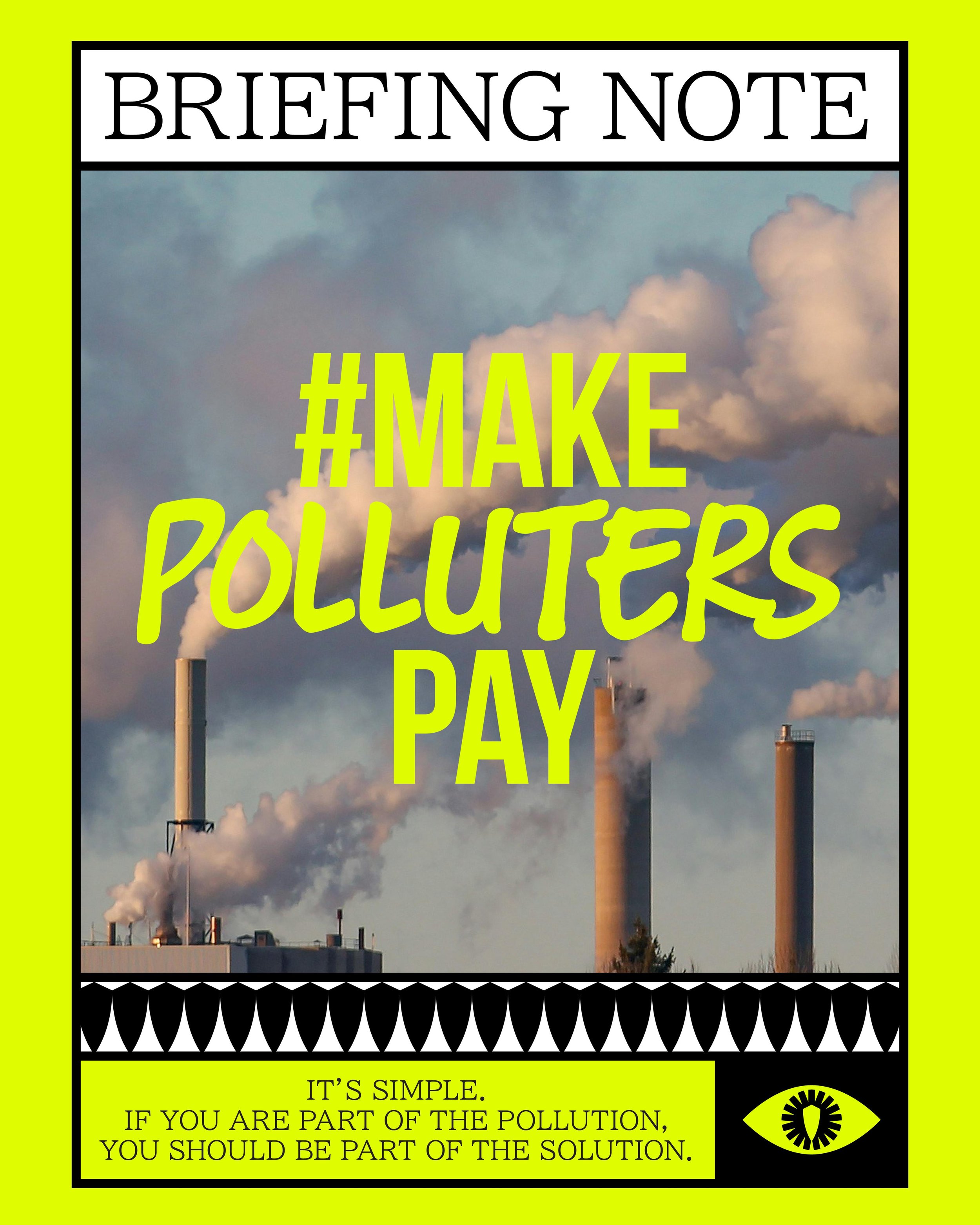 HEALTHY PLANET CAMPAIGN - #MAKEPOLLUTERSPAY