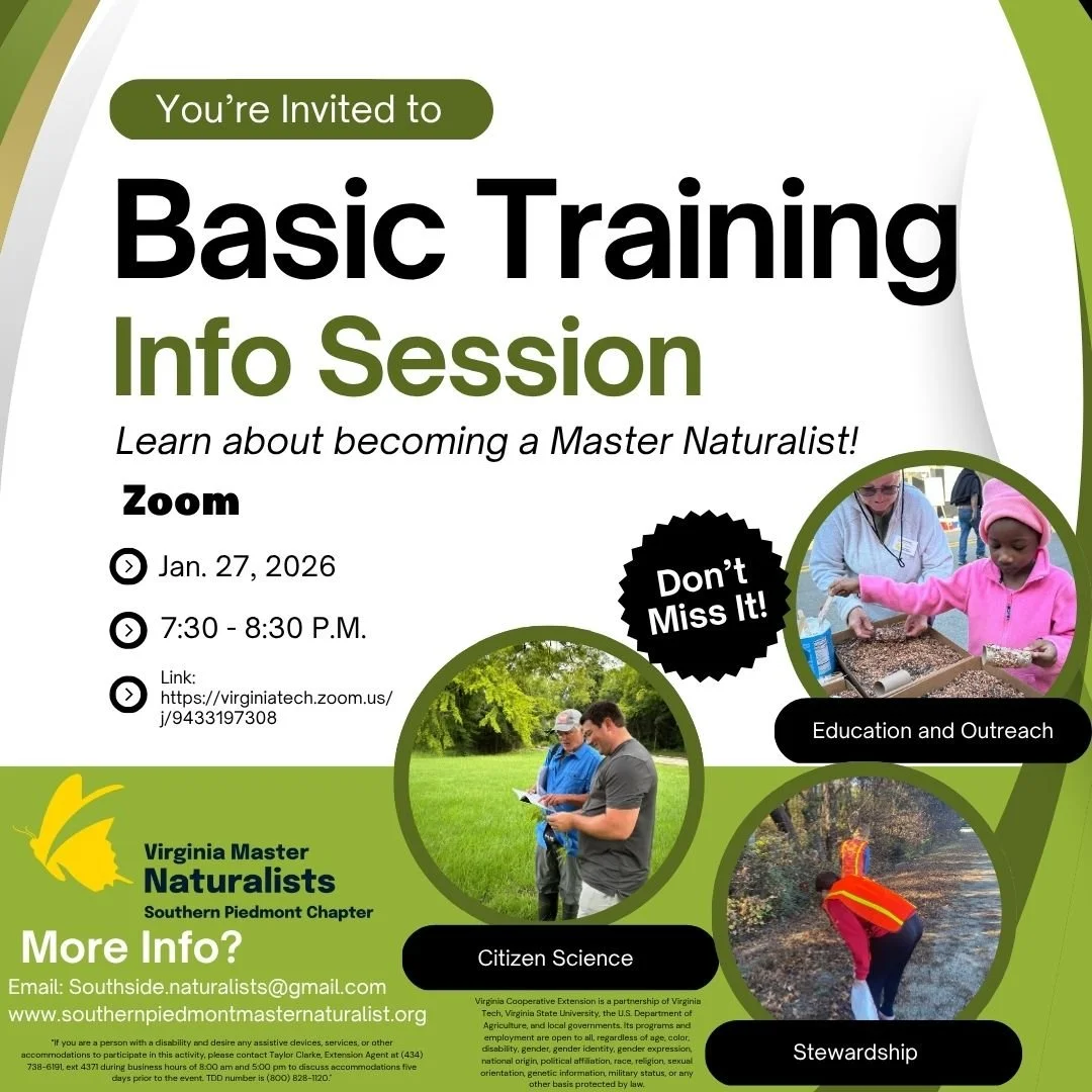 Zoom - Basic Training Info Session