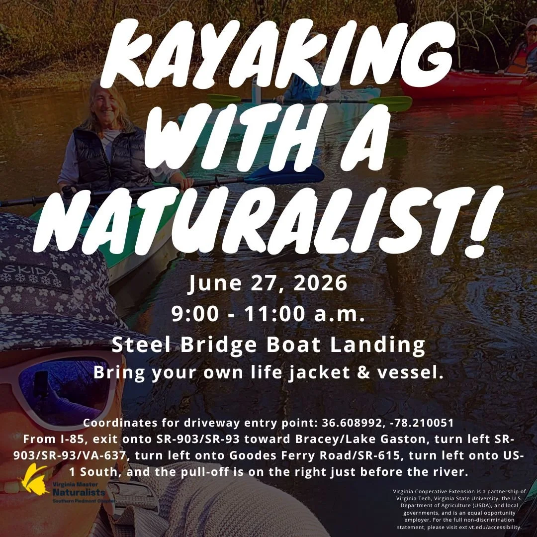 Kayaking with a Naturalist