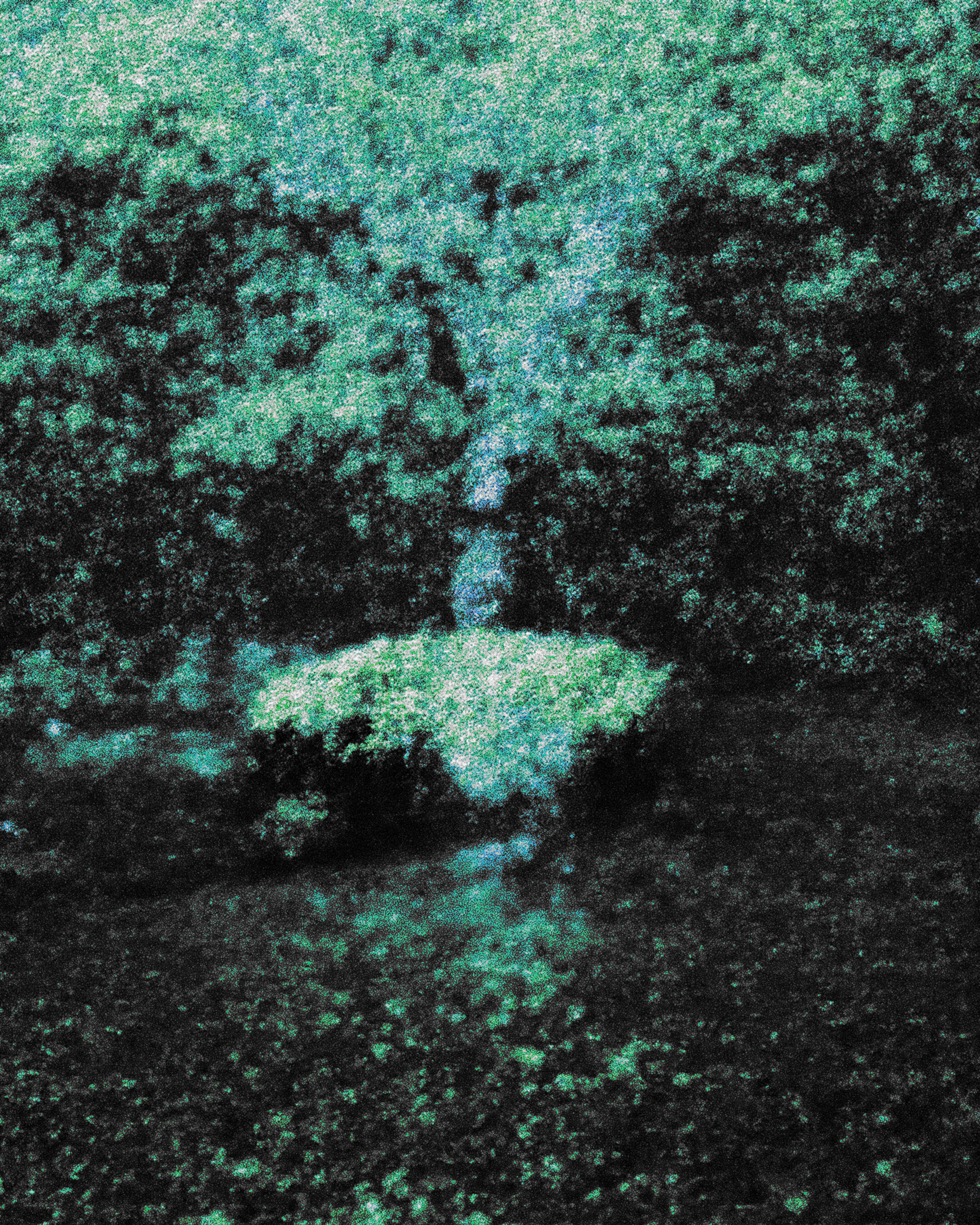 125.png
