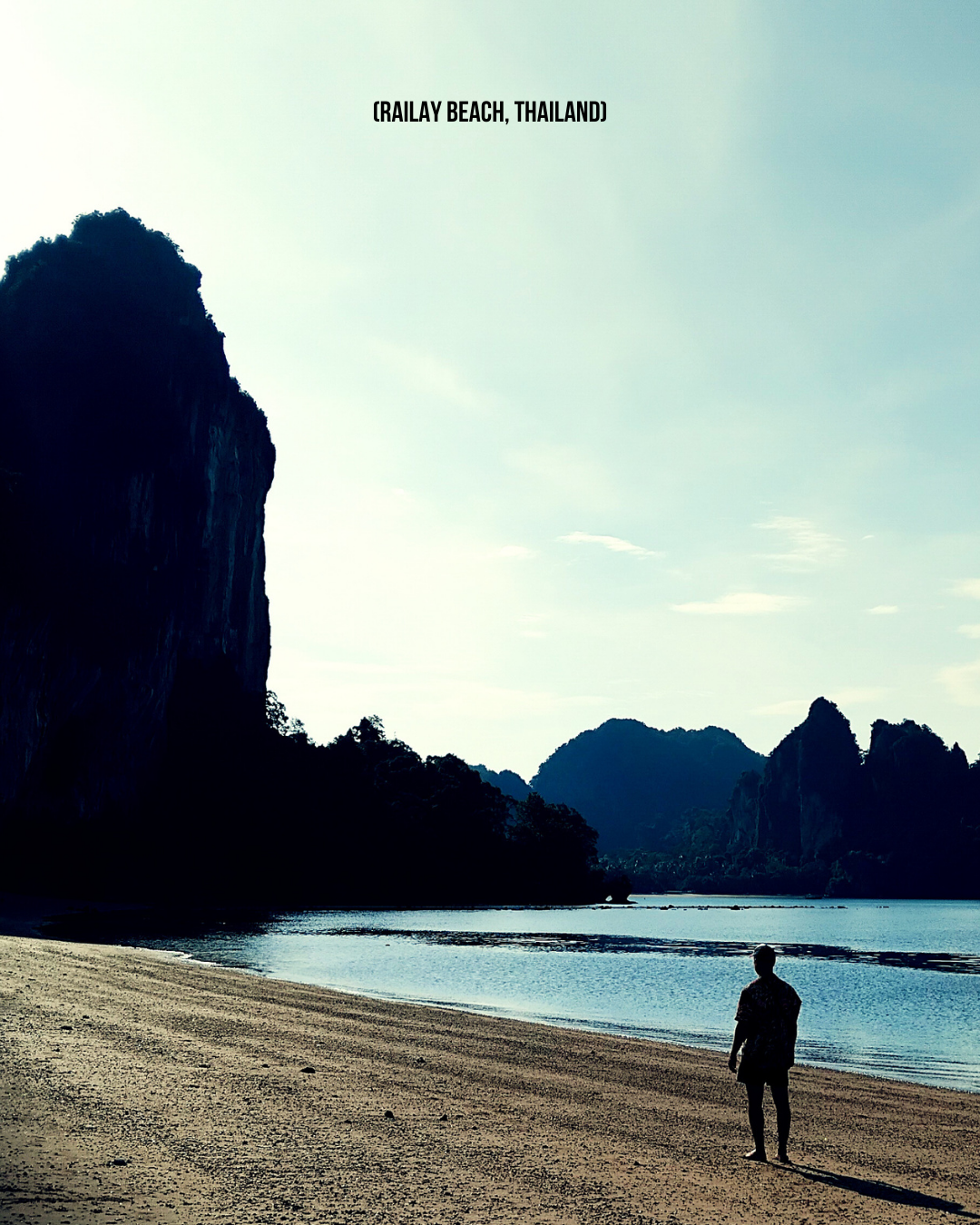 Wellness isn’t a destination. it’s a daily decision.