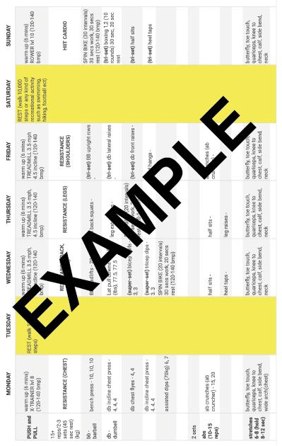 exercise_example.png