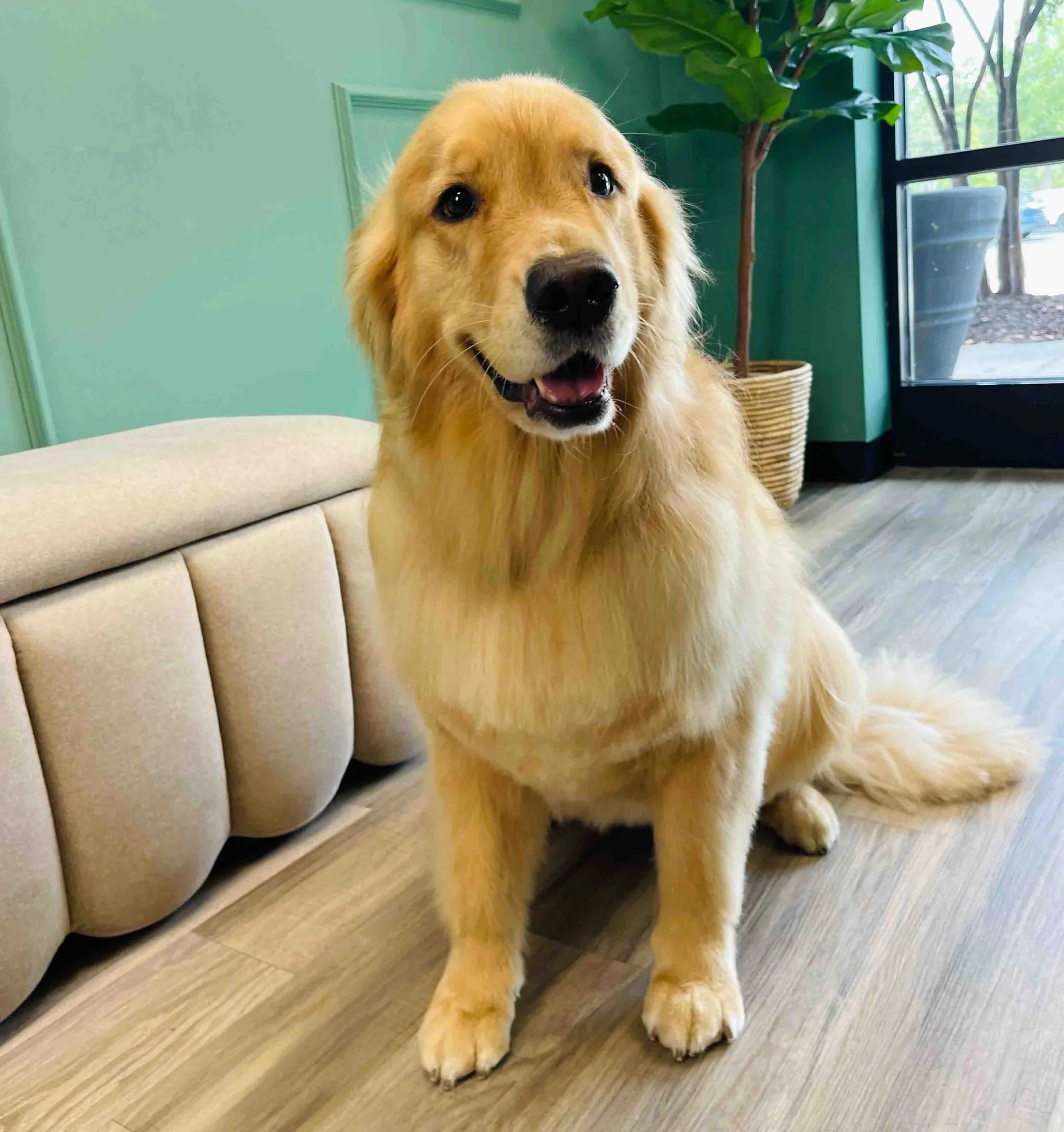 IMG_3216.jpg