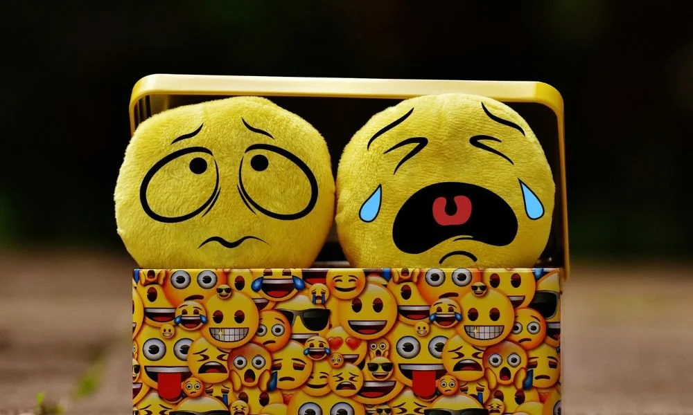 Emotional Overreactions and the Interwebs