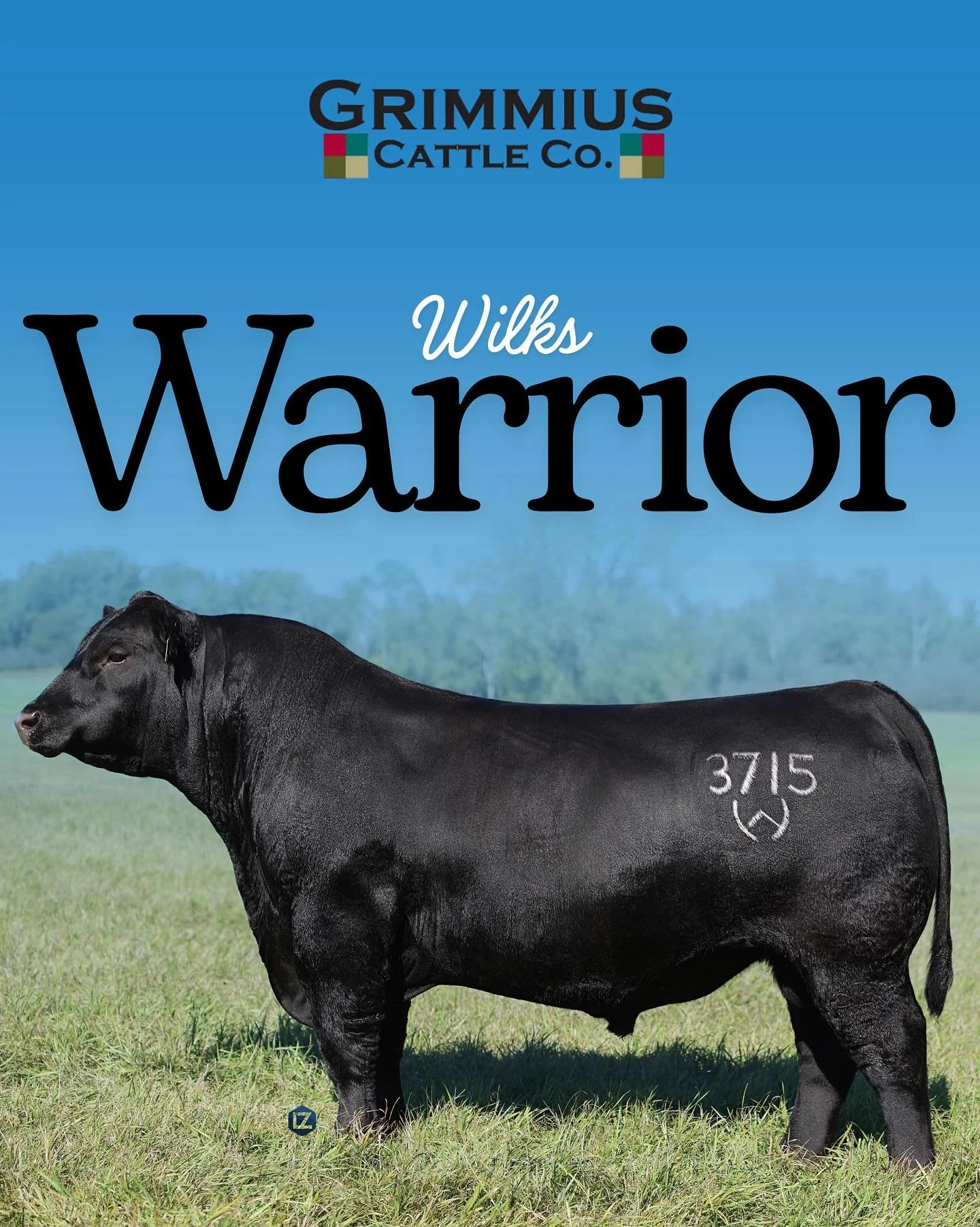 🔥Wilks Warrior 3715 - AAA +*20753062🔥 
Don’t miss your opportunity to own one of the hottest young bulls in the industry—available tomorrow, October 21st at 7PM CST on CCI.live.