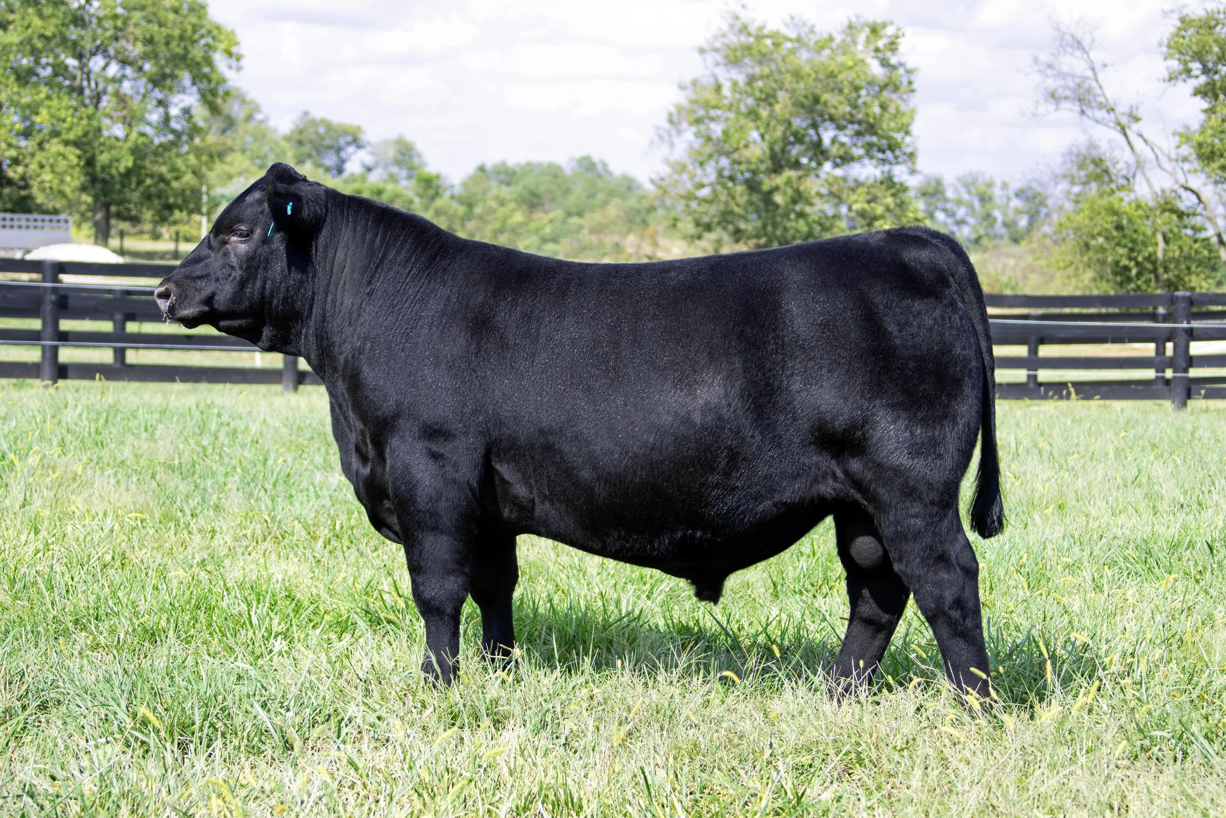 Loterry pick 506L.JPG