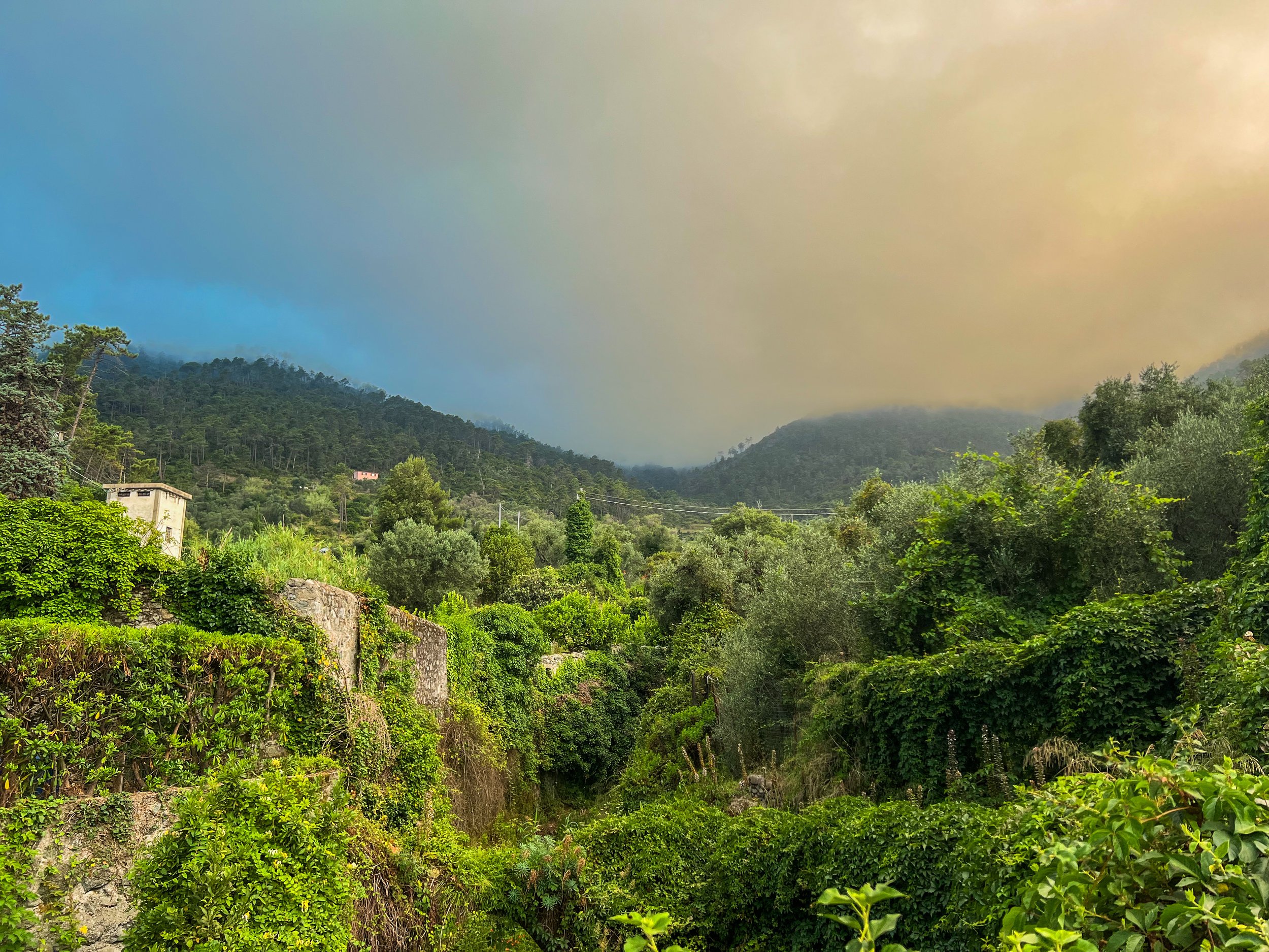 E2367955-1A5C-496E-B7DF-11D29B4F271D.jpeg