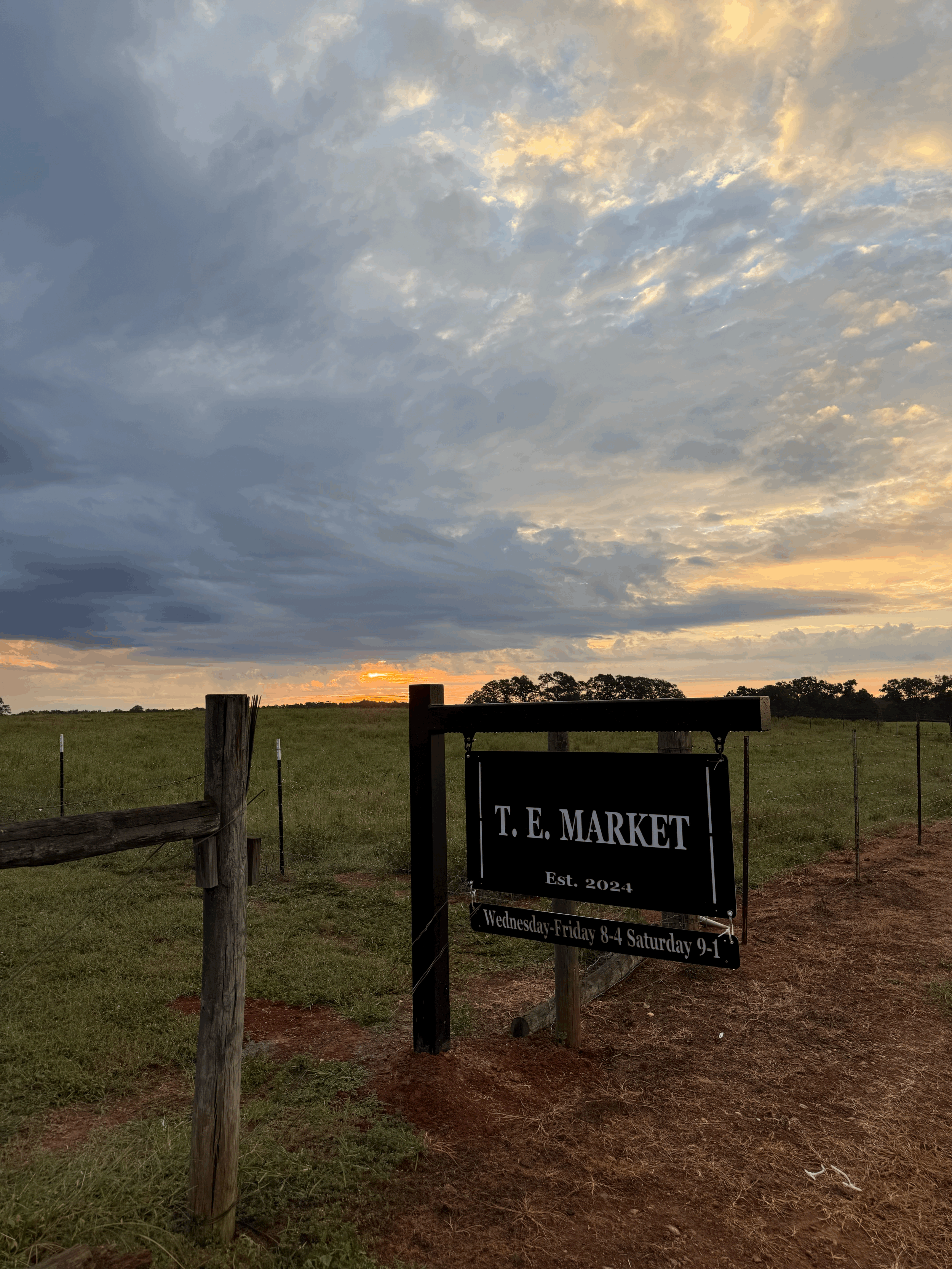 Top 25 Questions of 2025