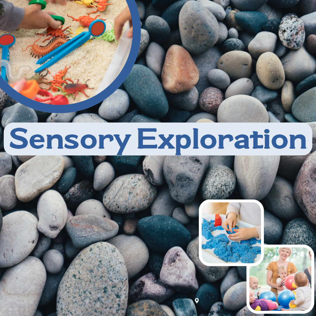 Sensory Exploration (3-5)
