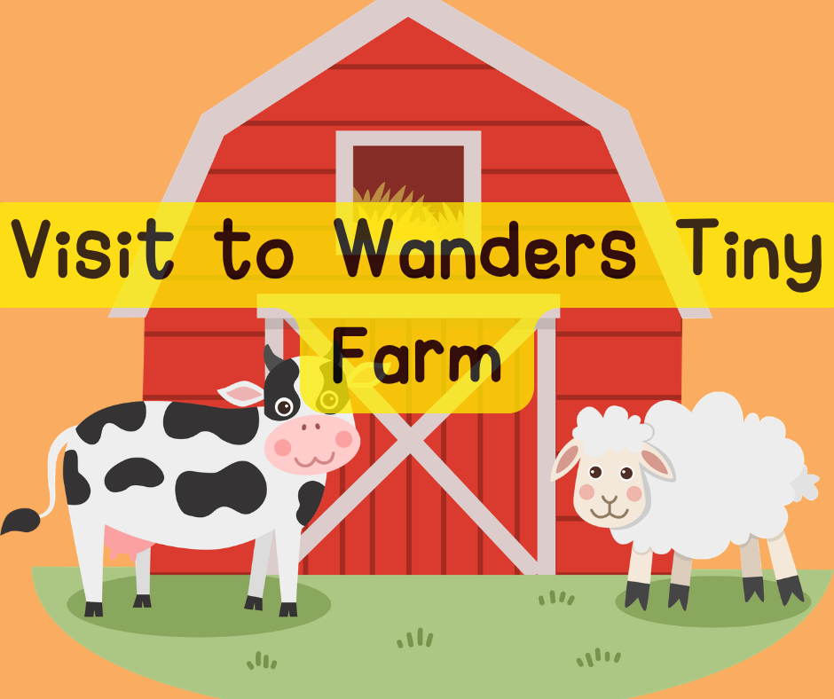 Visit to Wanders Tiny Farm