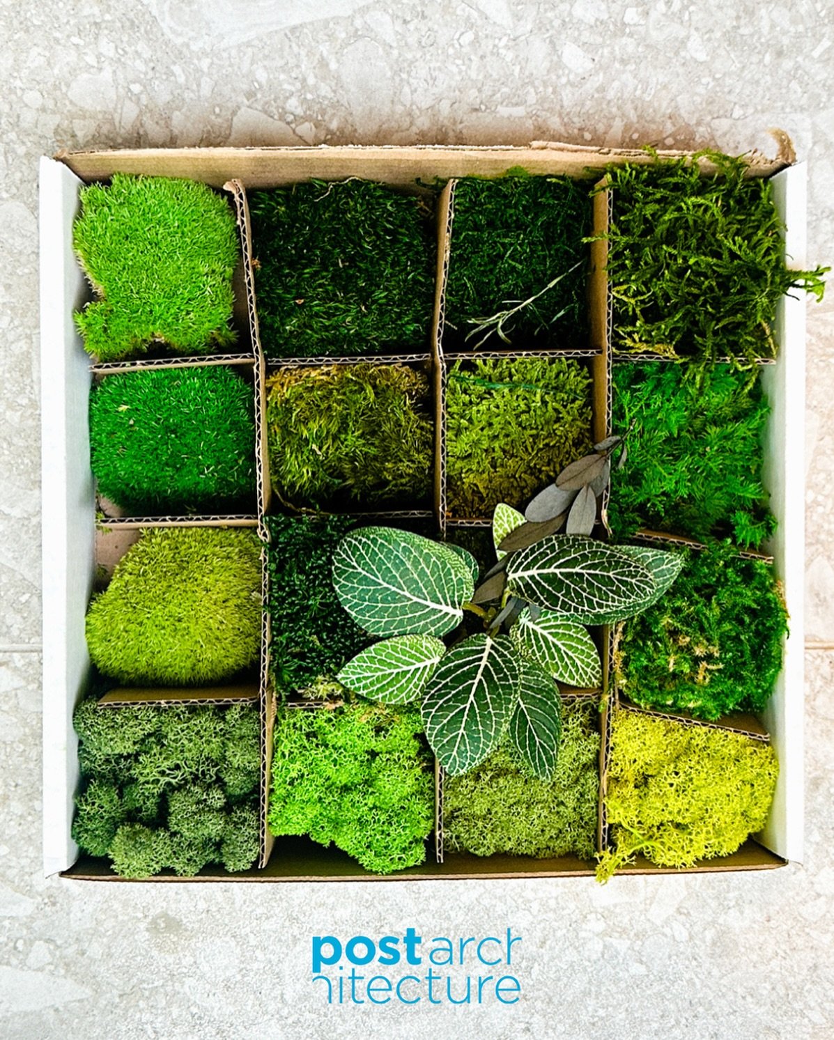 Every corner tells a story. From moss walls to soft light on wood grain, design lives in the details. 

#PostArchitecture #DesignInspiration #ModernInteriors #TorontoDesign #DetailsMatter