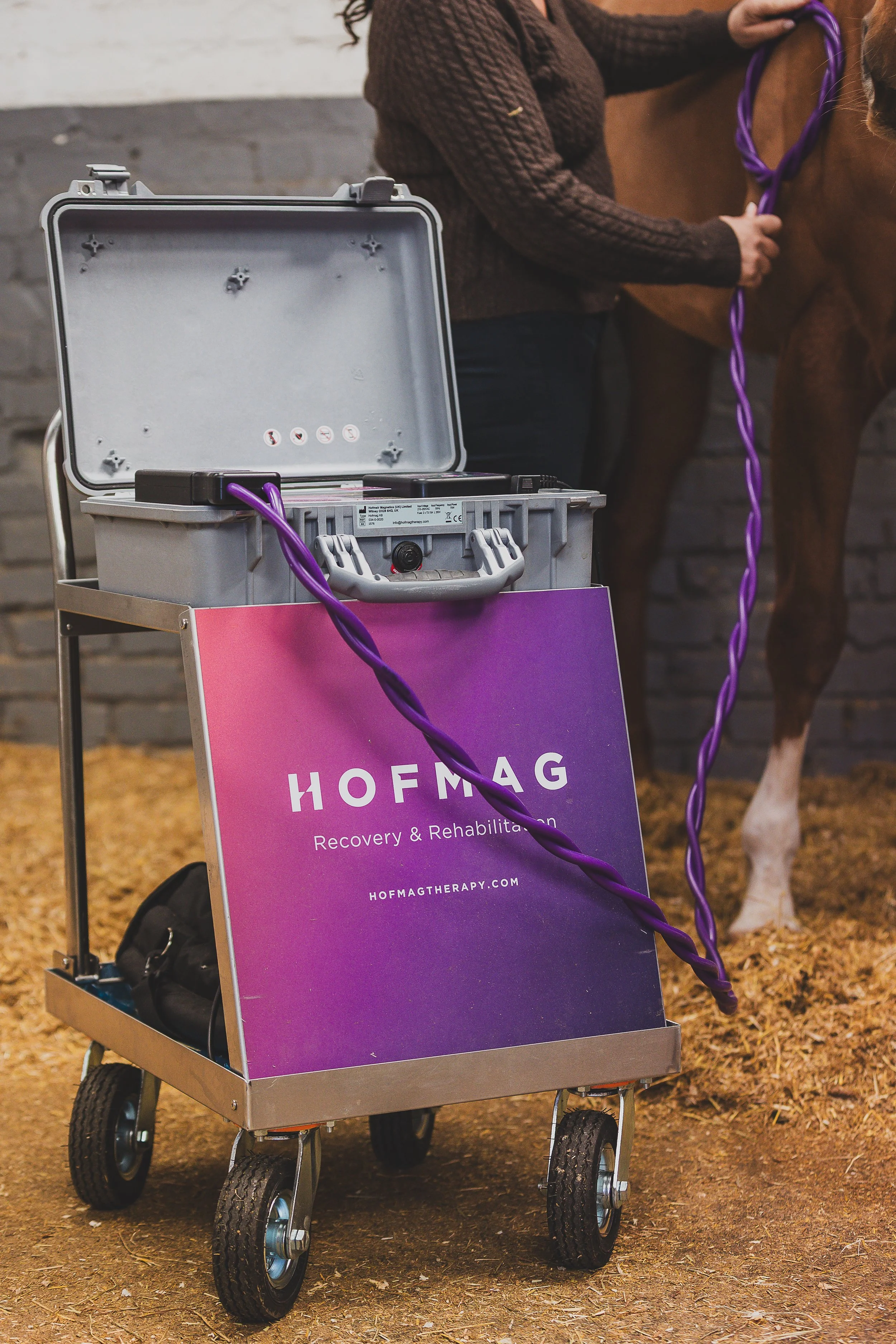 LosfordEquineRehab-HighRes-31 3.jpg