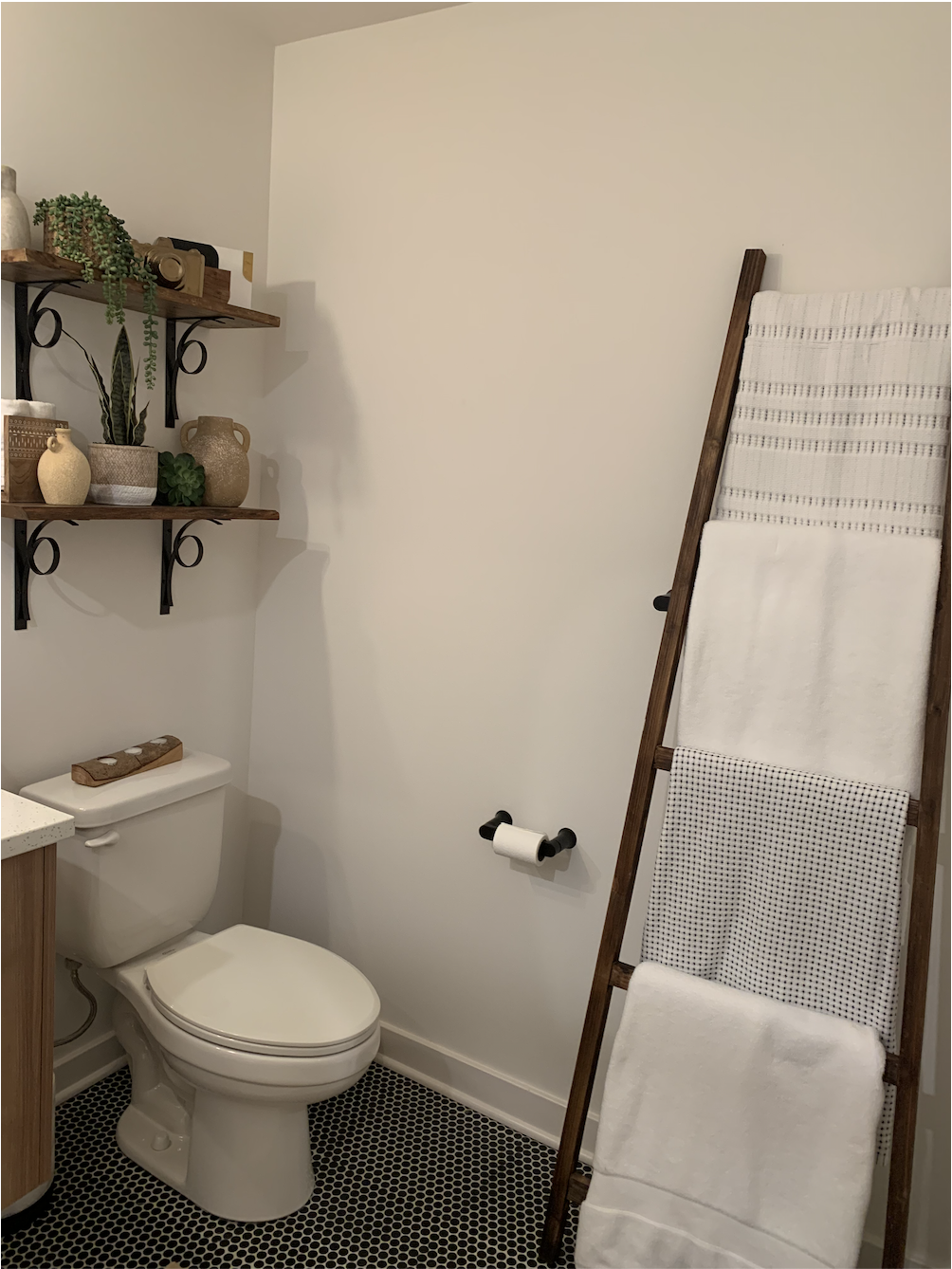 Screen Shot 2024-08-07 at 10.46.39 AM.png