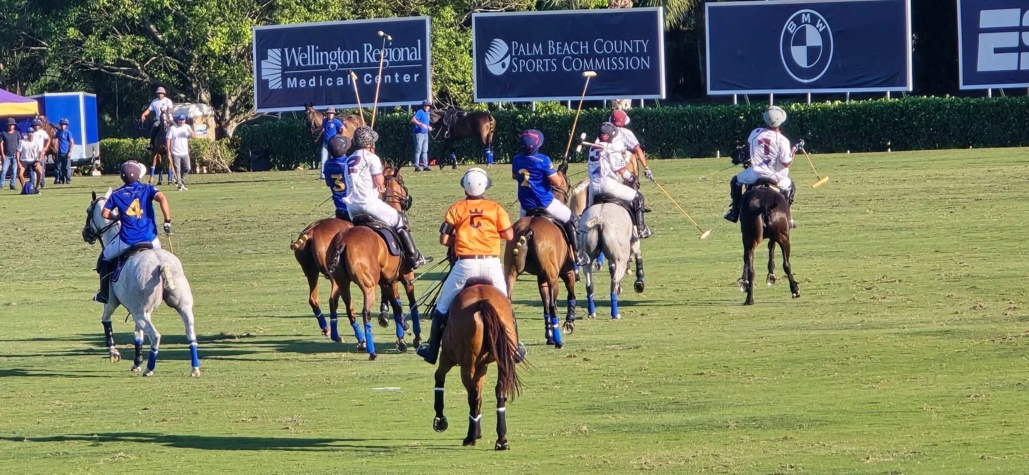 Wellington Polo March 2026