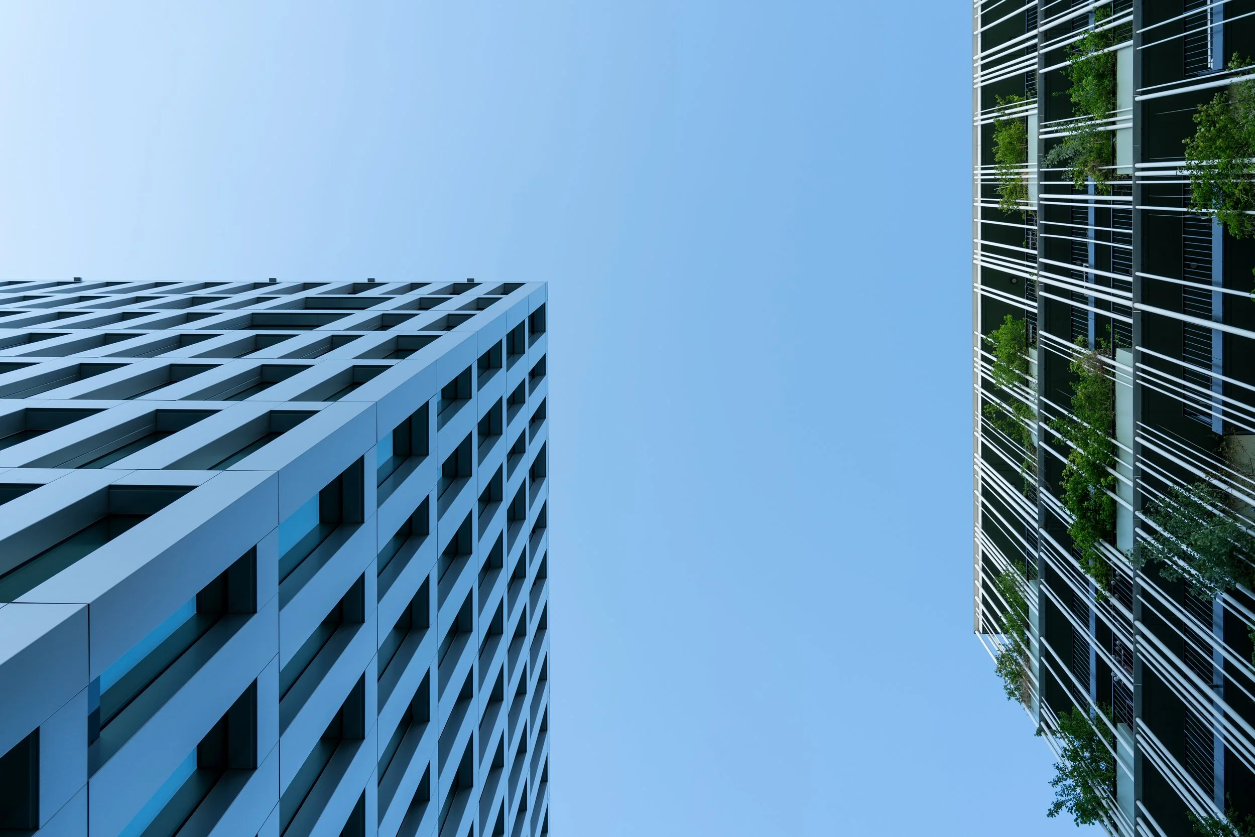 Look up, Mai 2022 / © Jessica Zekar
