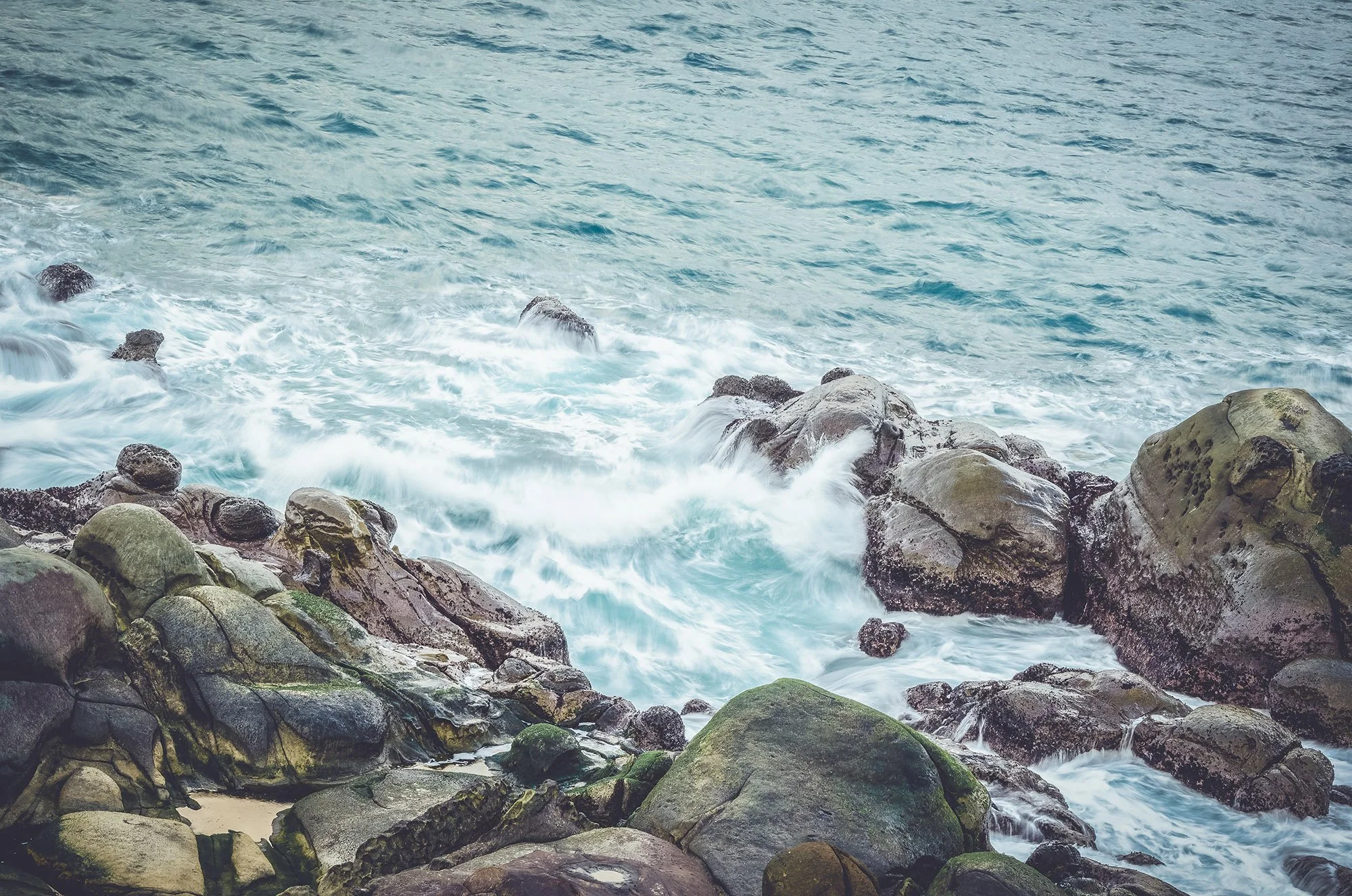 _DSC2095_web.jpg