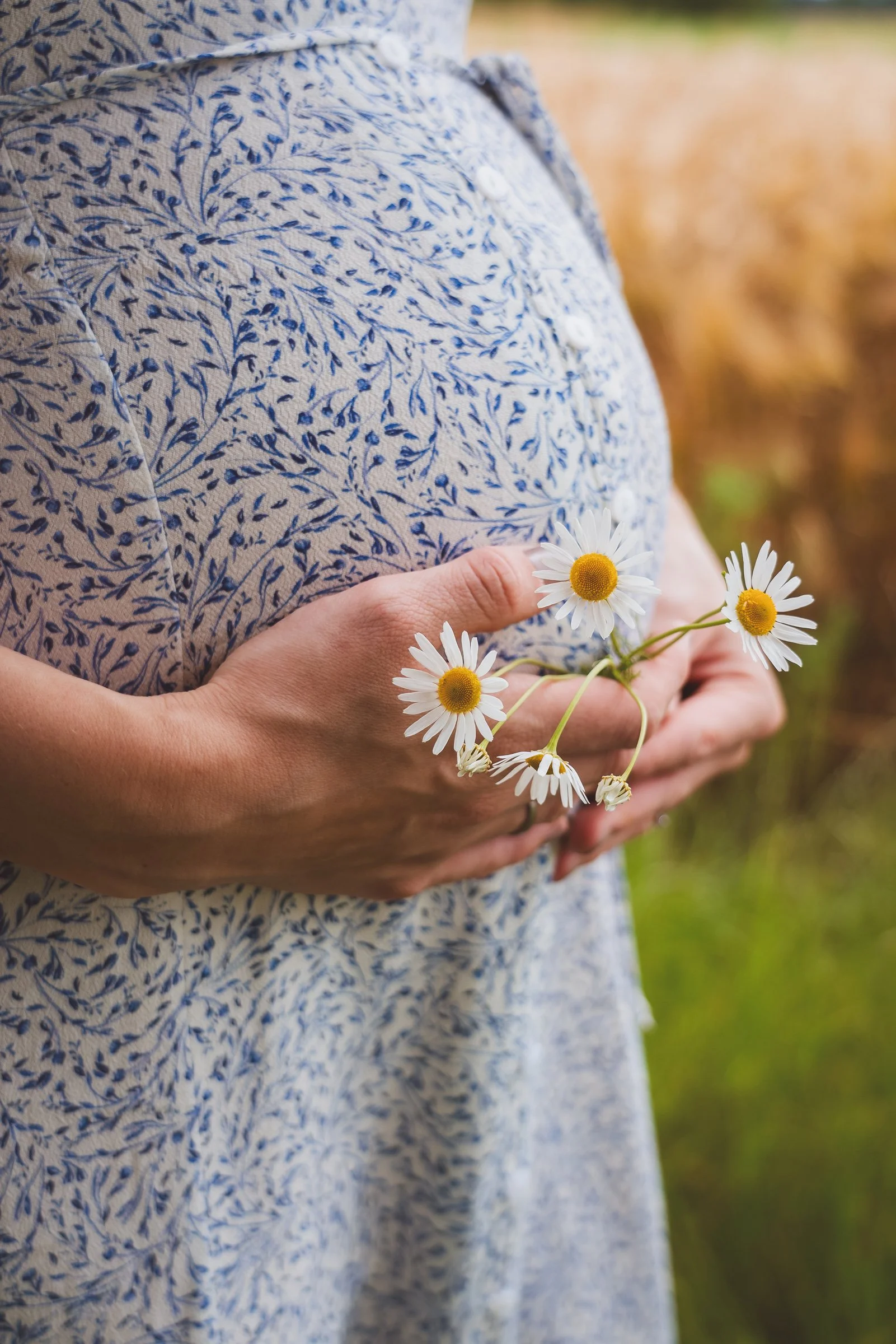 Franzi_Babybauch_JZ_6960.jpg