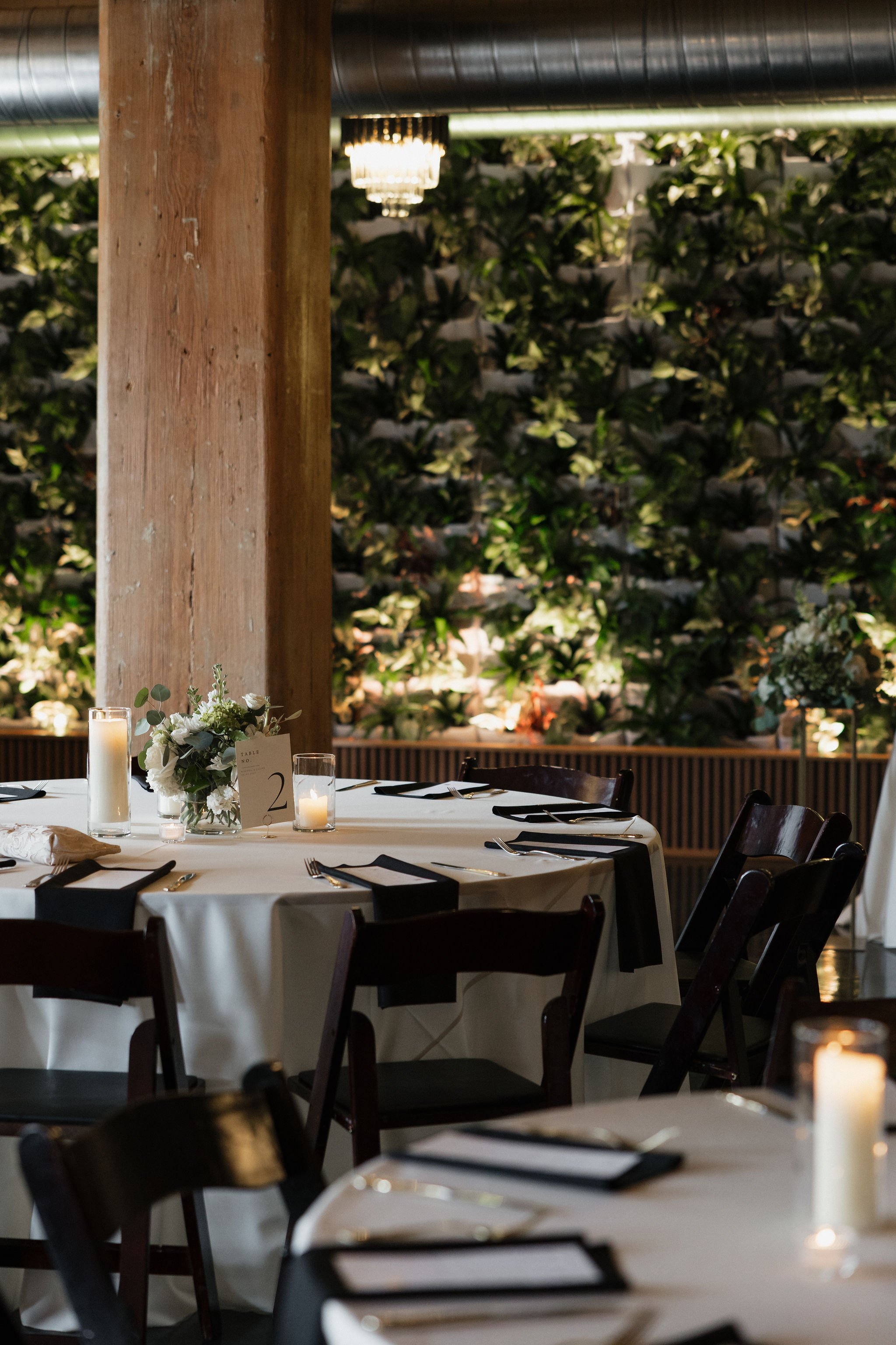 BirchLainePhoto-707 (1).jpg