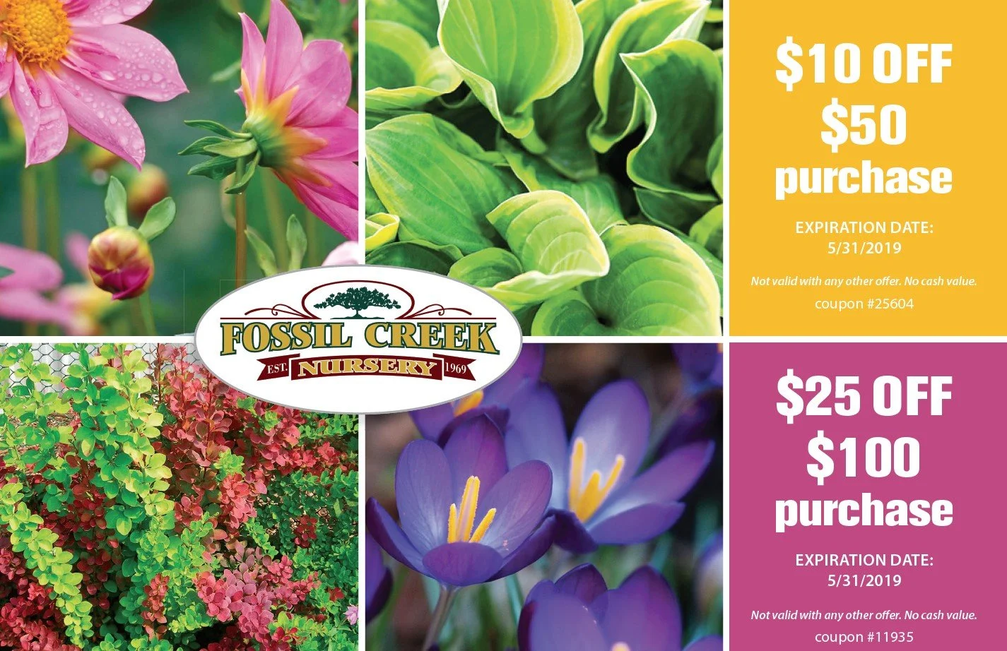A promotional coupon for Fossil Creek Nursery