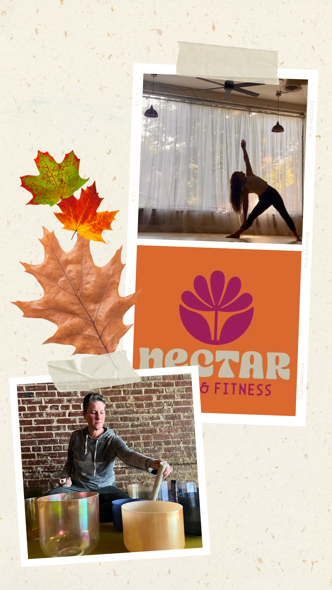 Moving Into Stillness, An Autumn Equinox Yoga & Sound Journey