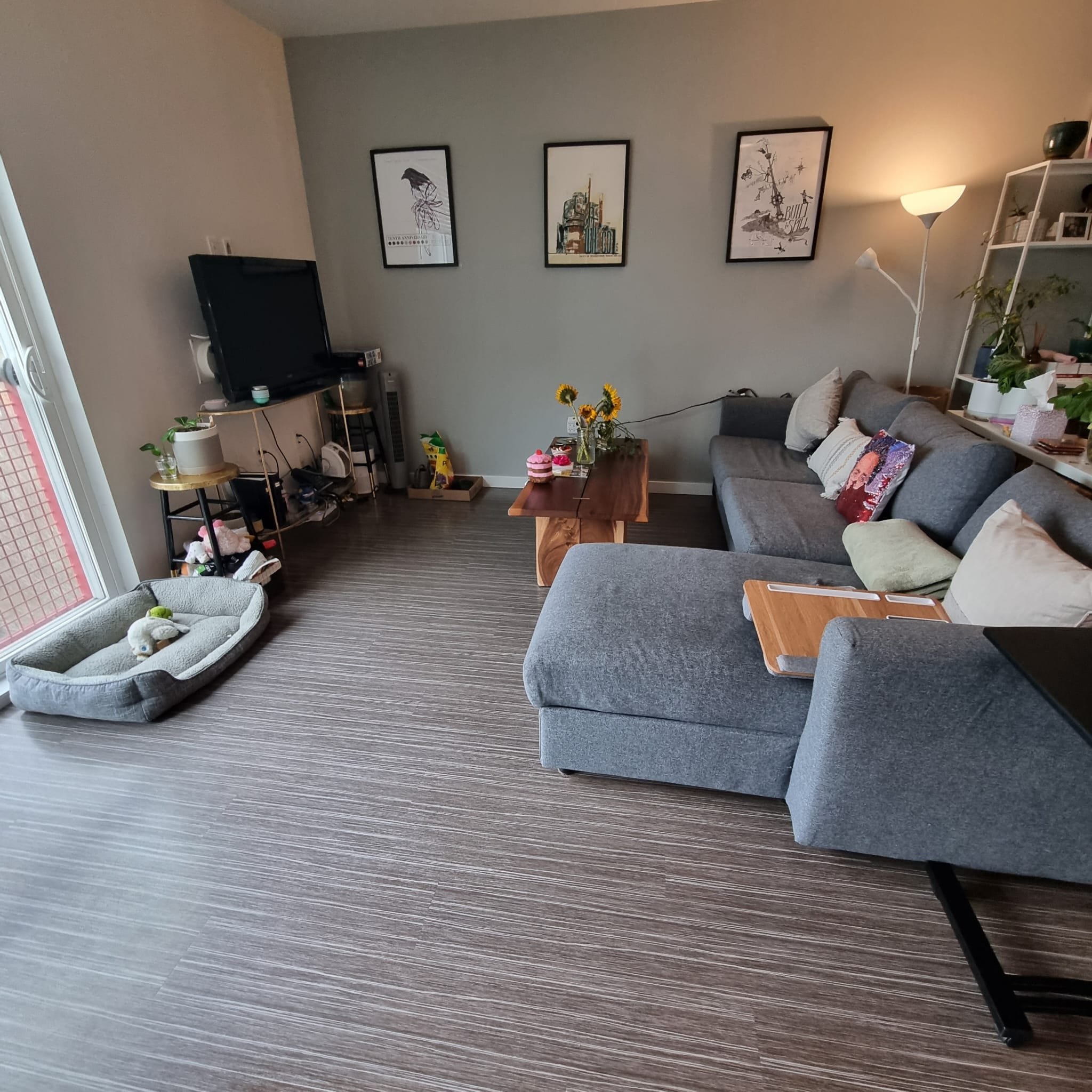 Living room with a gray sofa, a wooden coffee table with flowers, wall art, a television, plants, a floor lamp, and a bunk bed with stuffed animals.