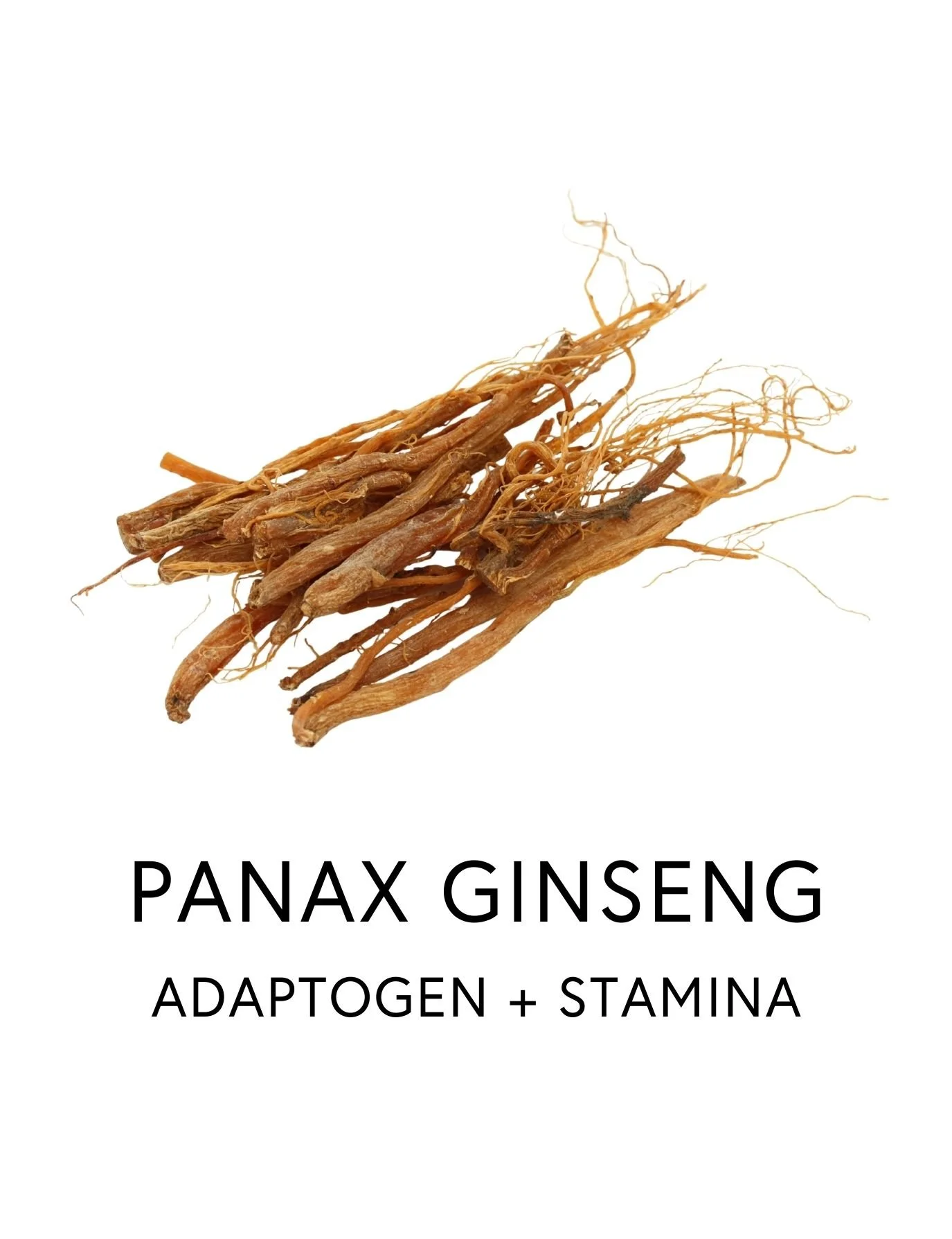  PANAX GINSENG 
 Panax, an adaptogenic herb, helps buffer the effects of chronic stress promoting calm stamina and stress resilience without the “wired and tired” feeling. Its ginsenosides are researched for their effects on neurotransmitter and cort