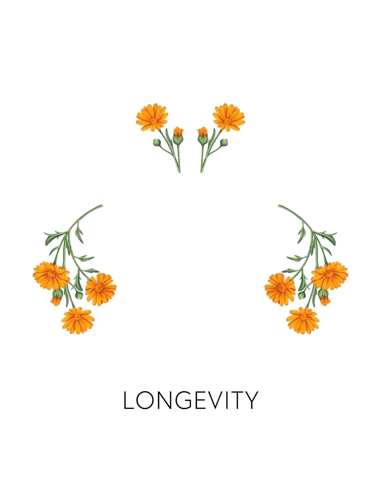  LONGEVITY  
 We offer 9 deeper biomarkers and labs to measure how well your body is detoxing. From environmental toxin levels to chemical reactivity screenings, these measurements give us real data into how your body's biotransformation pathways are