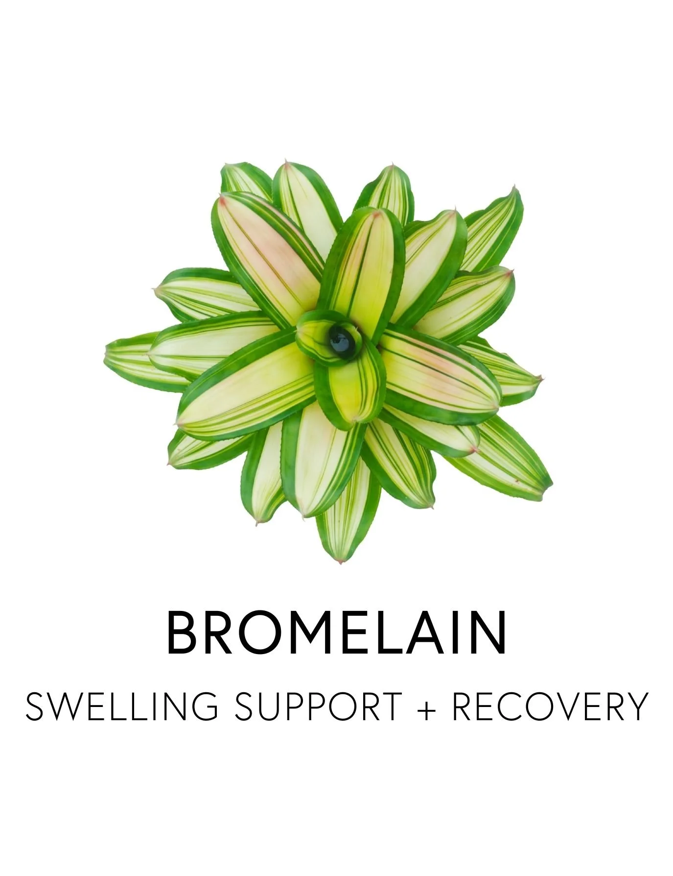  BROMELAIN 
 Bromelain supports joint comfort, mobility, and tissue recovery by calming inflammation and easing pain. Unlike NSAIDs, this proteolytic enzyme breaks down fibrin and inflammatory debris, clearing the pathways for blood flow, nutrient de