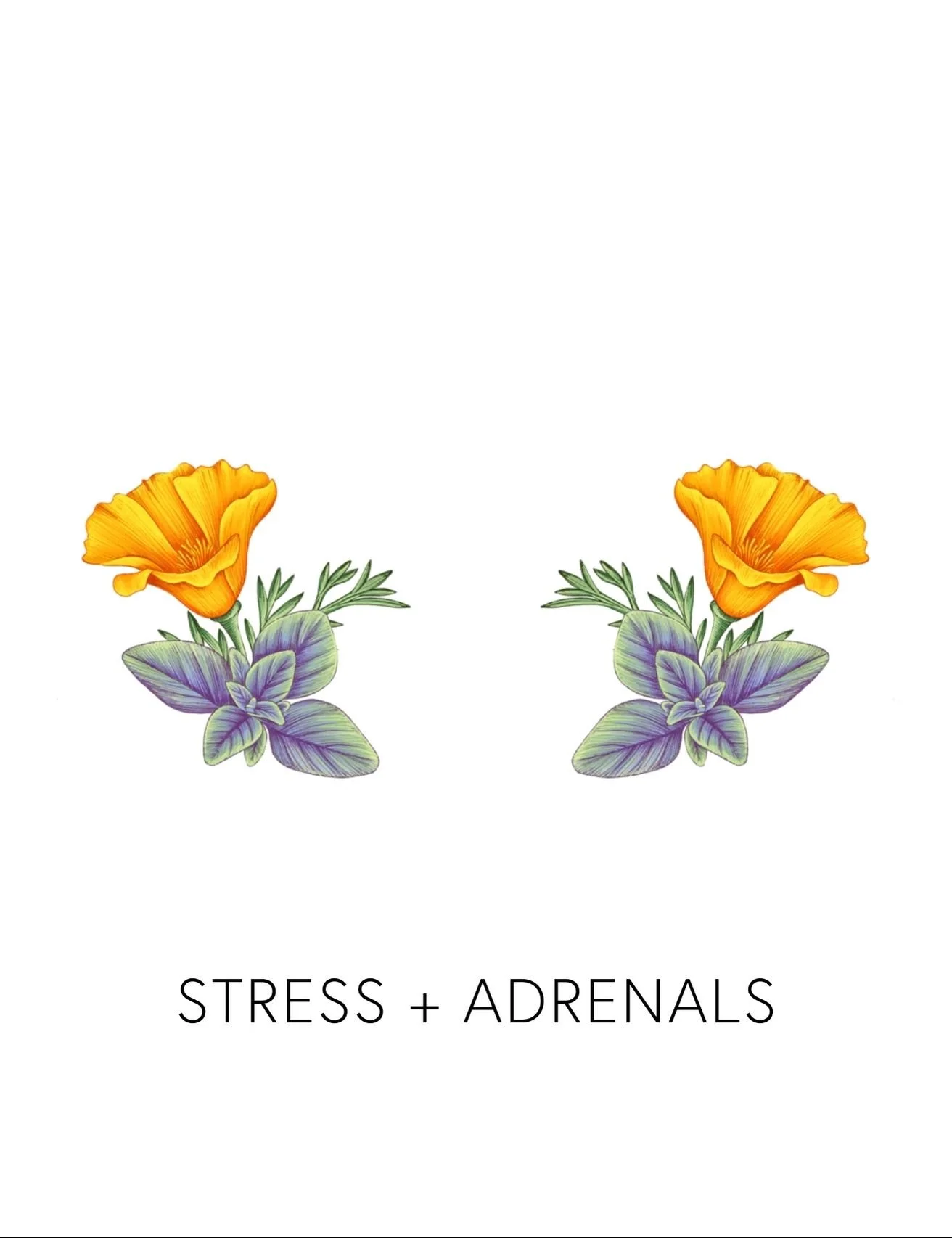  STRESS + ADRENALS  
 We offer 9 deeper biomarkers and labs to measure how well your body is detoxing. From environmental toxin levels to chemical reactivity screenings, these measurements give us real data into how your body's biotransformation path