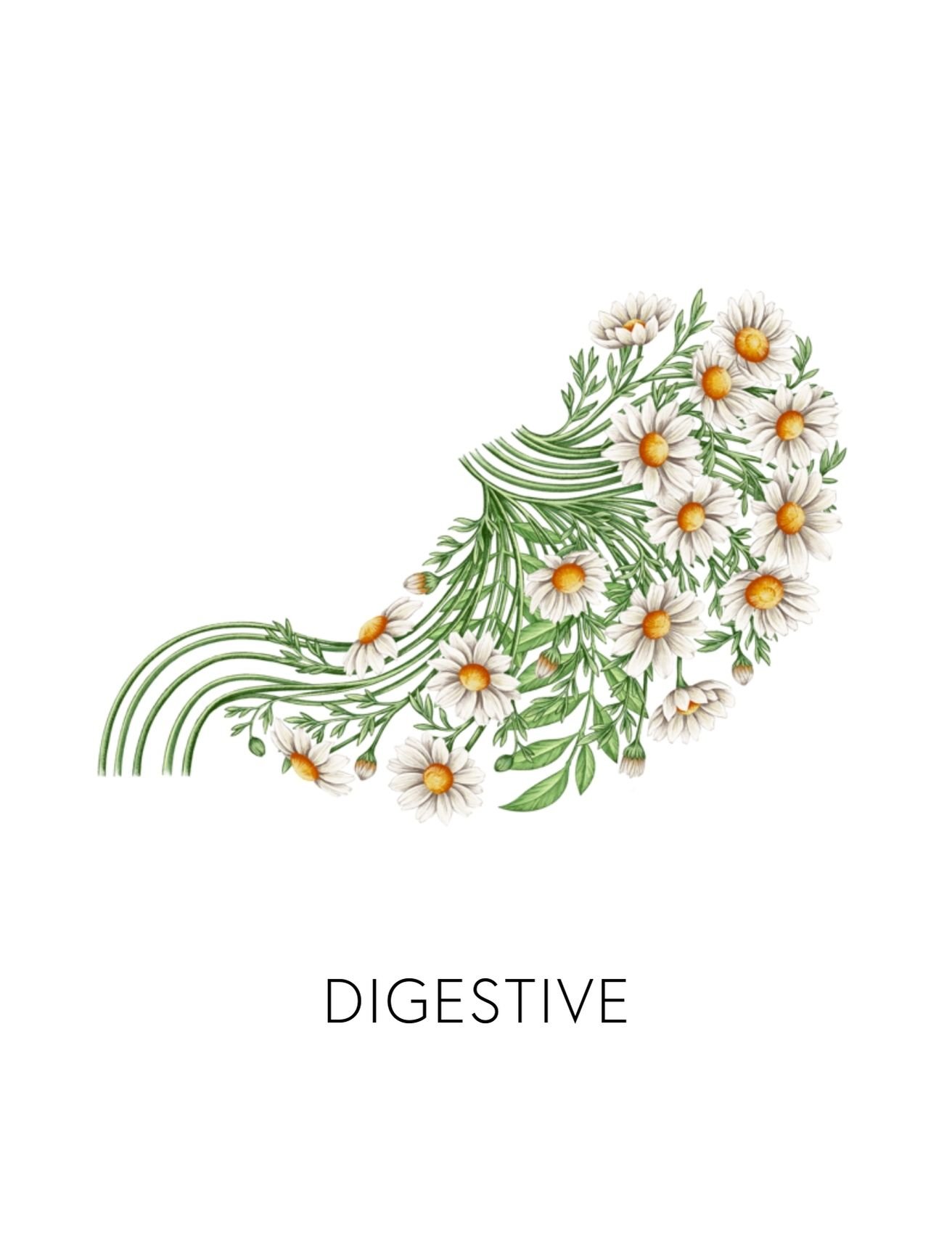  DIGESTIVE  
 We offer 9 deeper biomarkers and labs to measure how well your body is detoxing. From environmental toxin levels to chemical reactivity screenings, these measurements give us real data into how your body's biotransformation pathways are