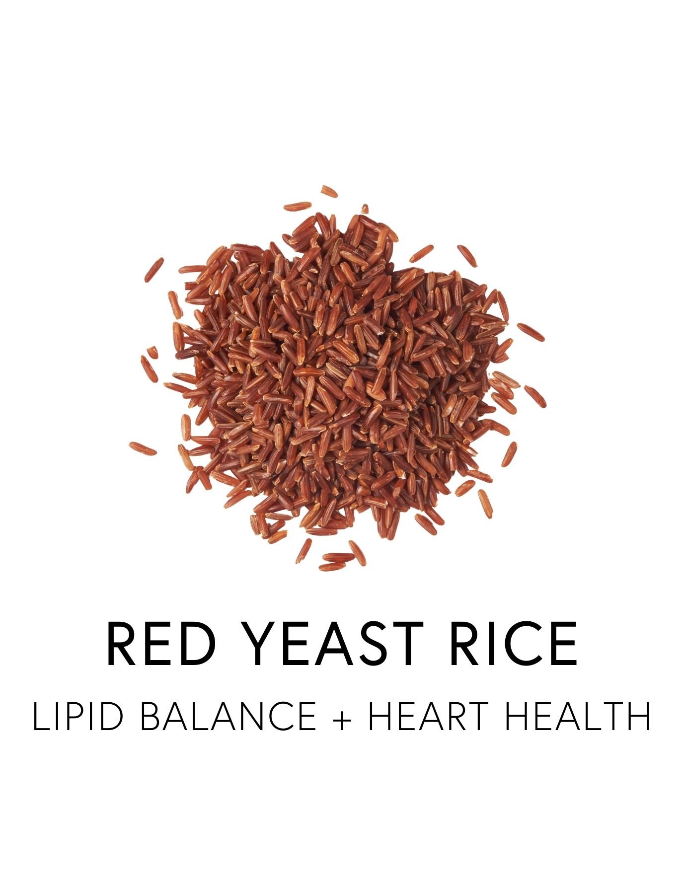  RED YEAST RICE 
 Red yeast rice supports healthy cholesterol levels and long-term heart health by helping regulate cholesterol production. Through ancient fermentation, rice cultured with Monascus purpureus yeast produces bioactive compounds called 