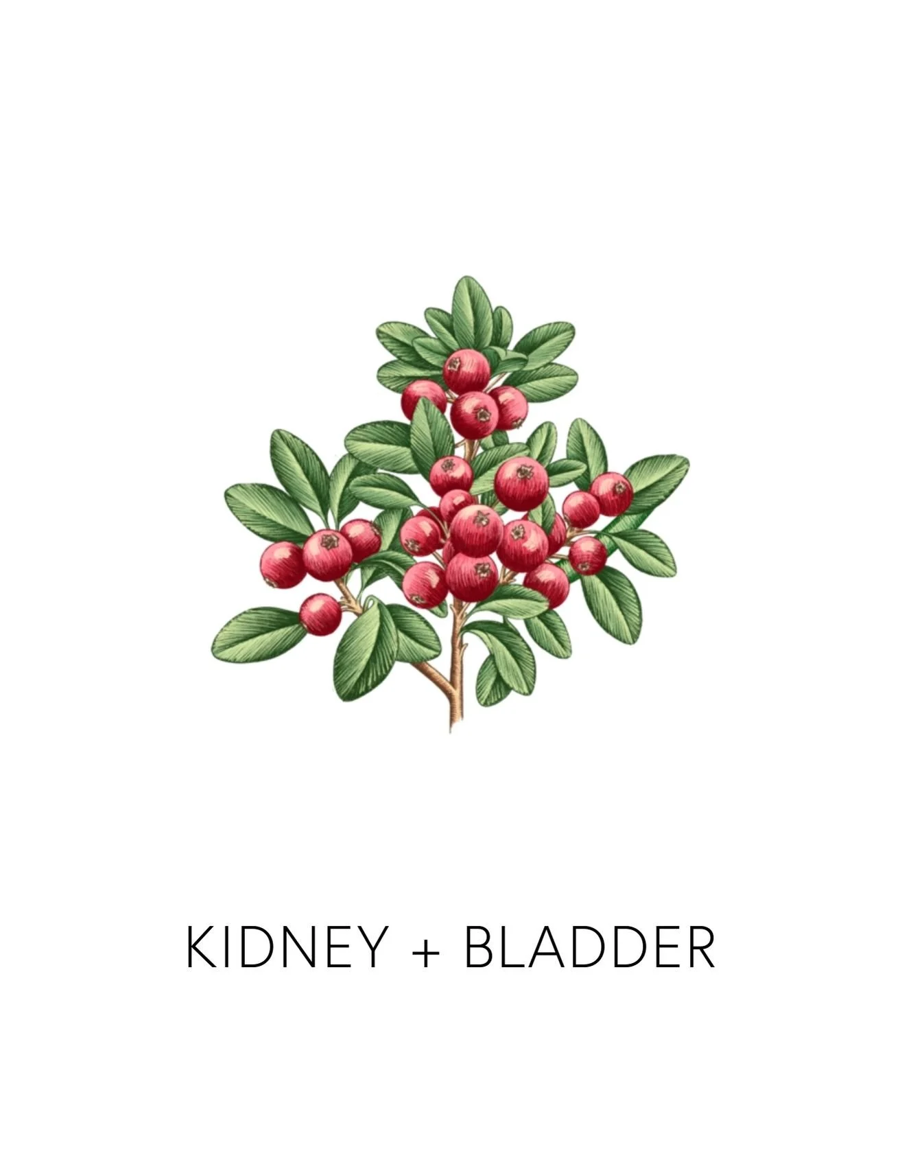  KIDNEY + BLADDER  
 We offer 9 deeper biomarkers and labs to measure how well your body is detoxing. From environmental toxin levels to chemical reactivity screenings, these measurements give us real data into how your body's biotransformation pathw